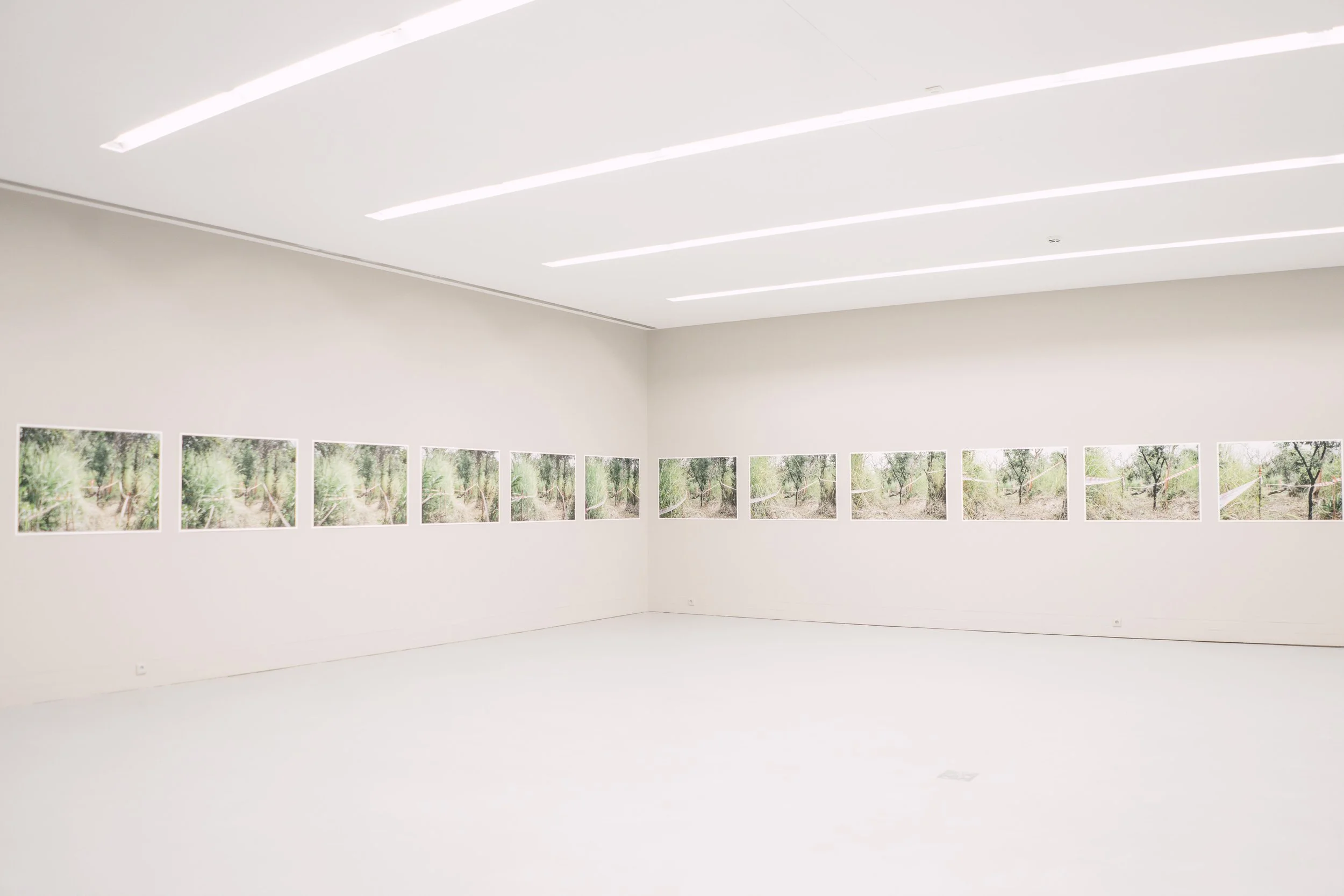 Angolan Series, Escola das Artes, Porto, 2022