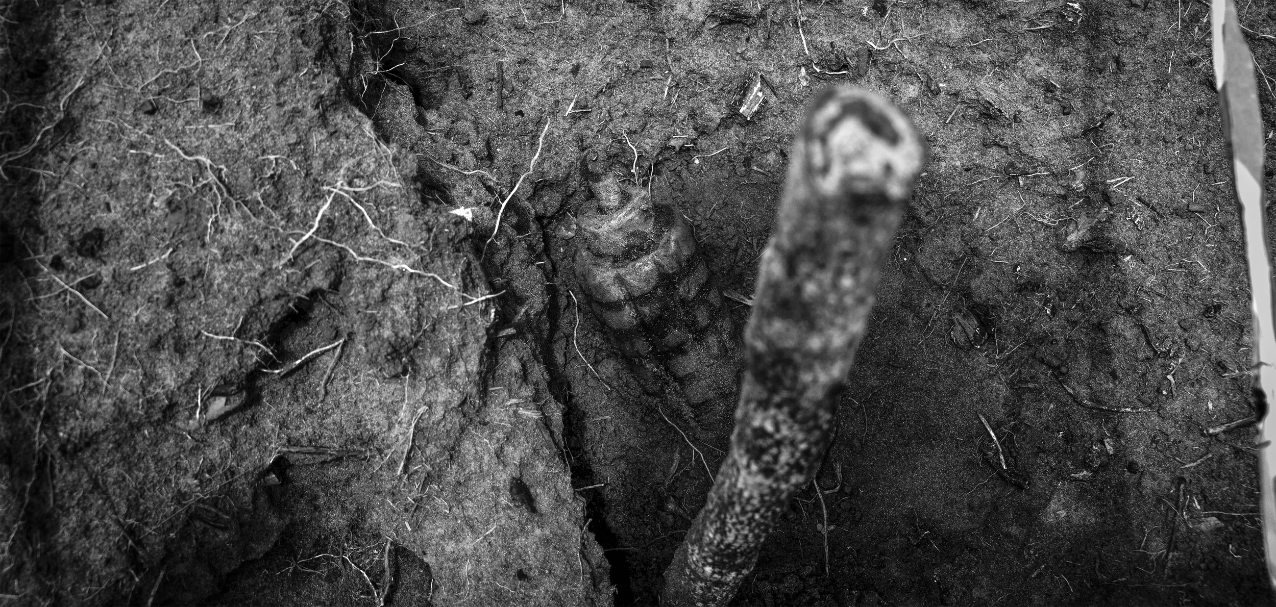 00-Capa-00 copy.jpeg