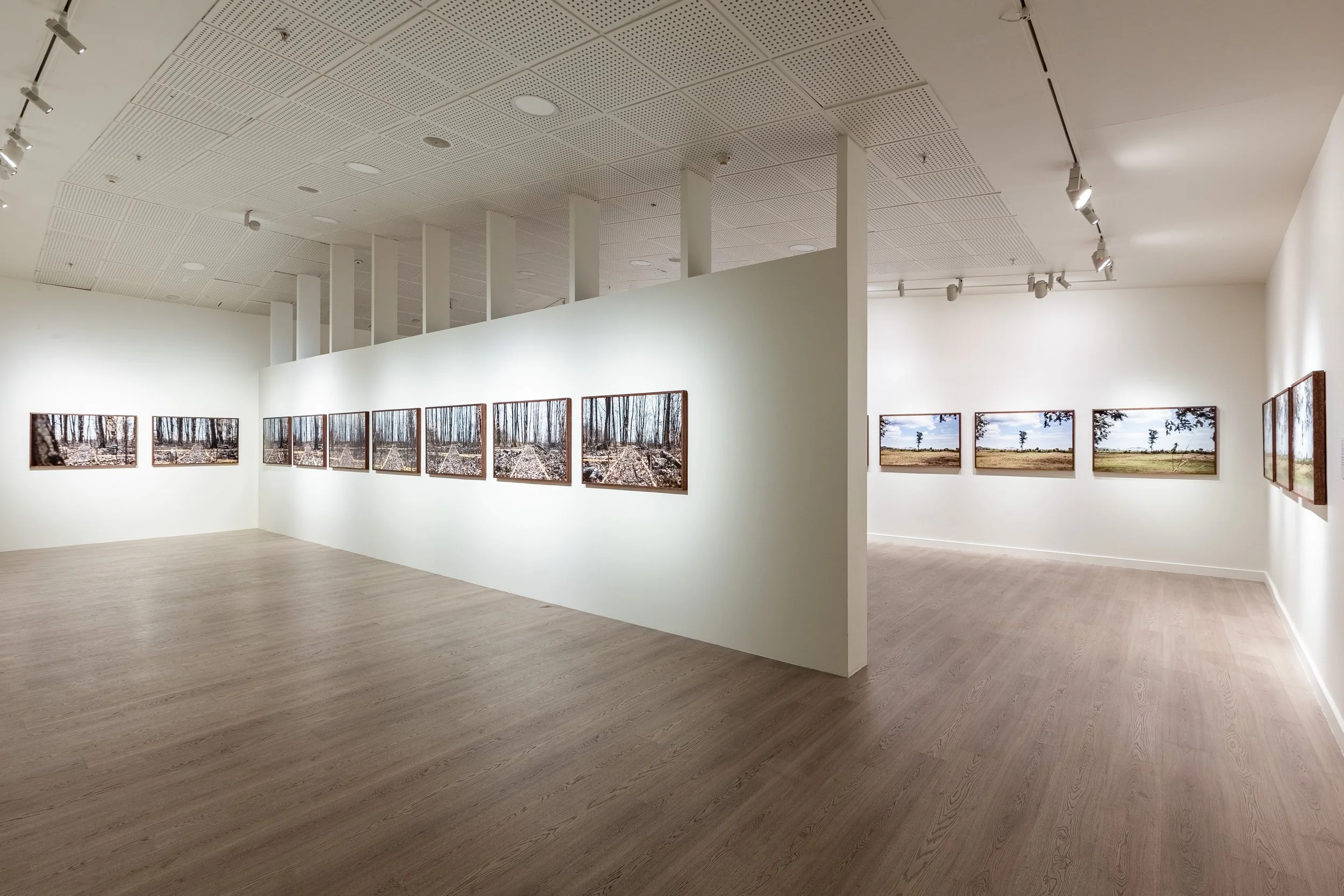 Bosnian and Cambodian Series, 17th Istanbul Biennial, 2022