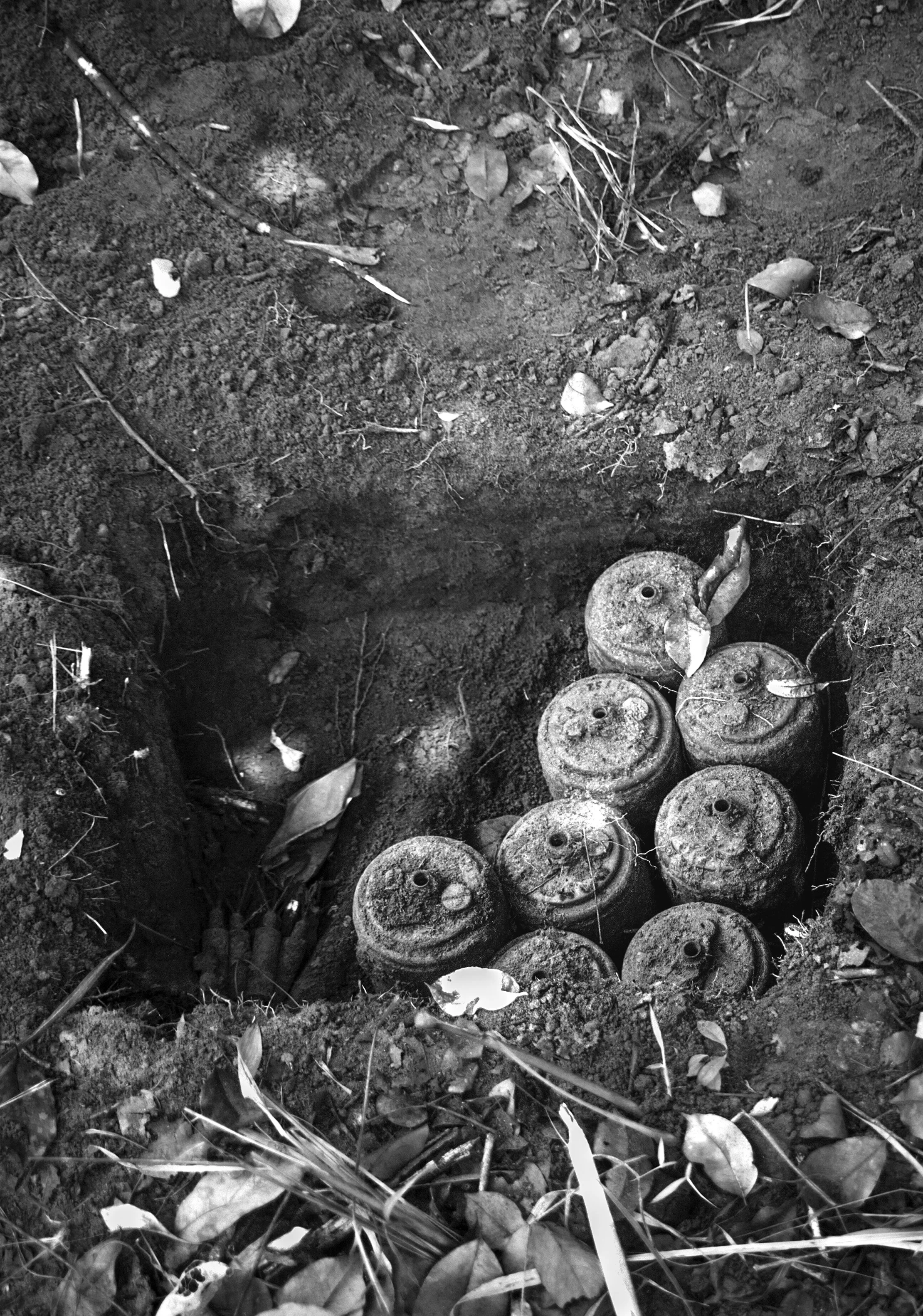 05-IMG_0072-simples02 copy.jpg