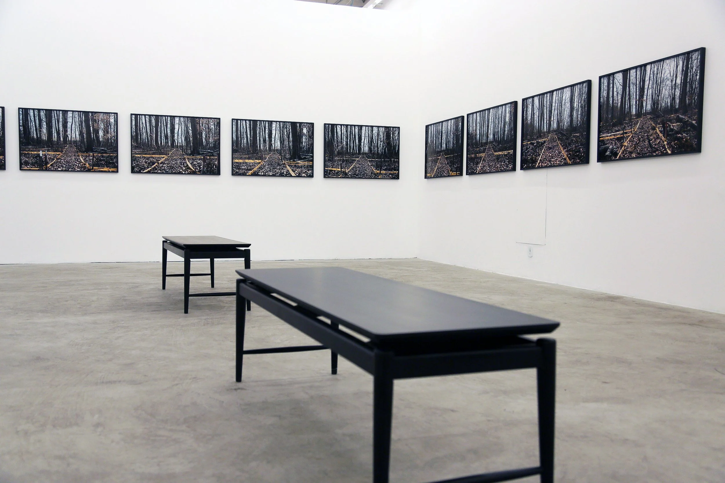 Bosnian Series, Villa Aymoré, Instituto Pipa, 2019