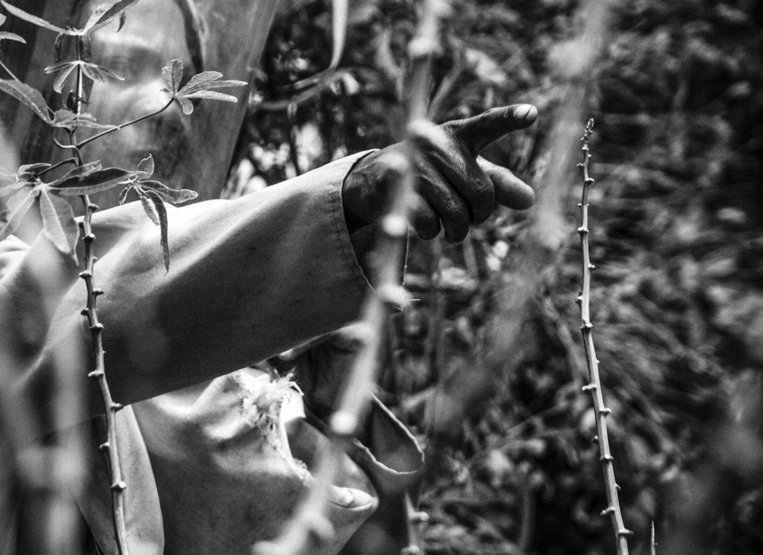 03-IMG_6647-dupla-intro03 copy.jpeg