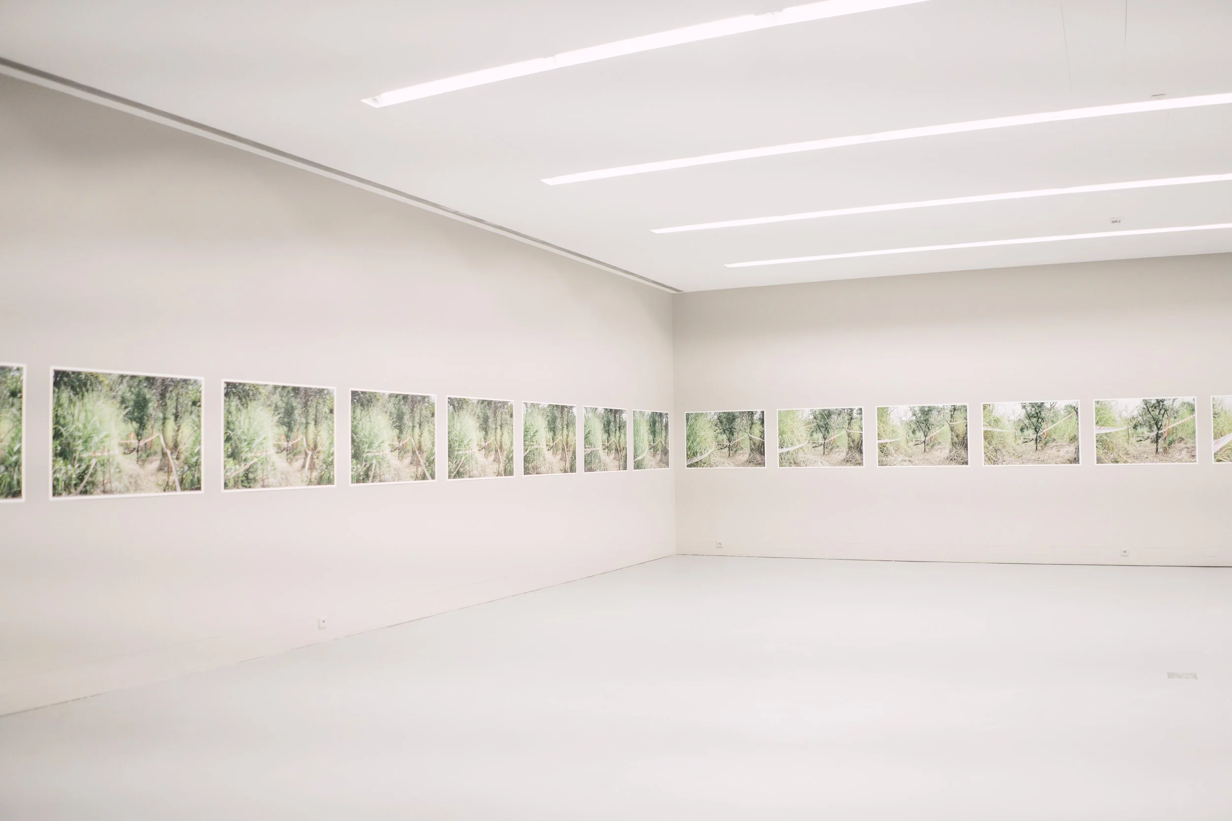 Angolan Series, Escola das Artes, Porto, 2022