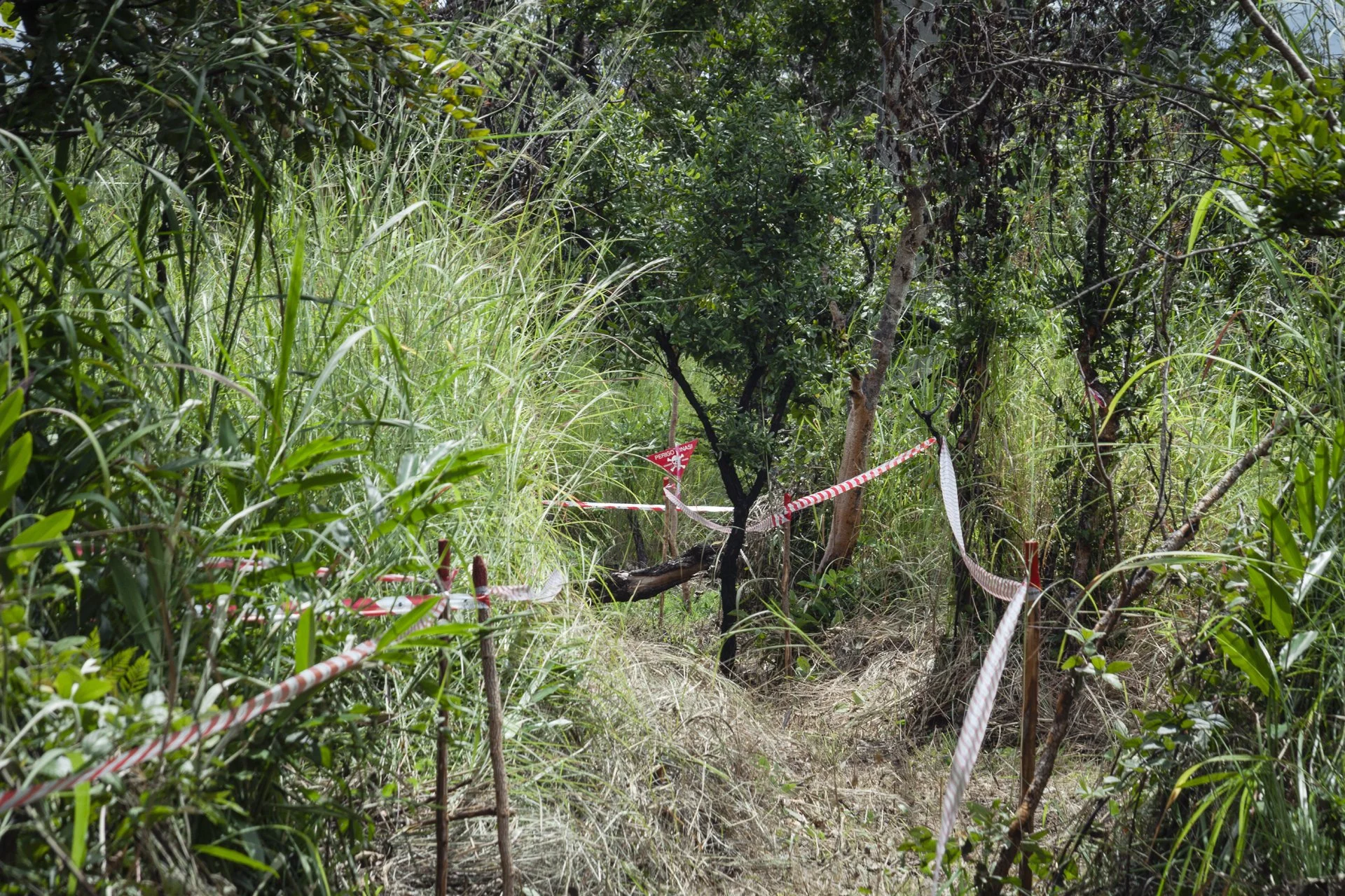 03.jpg