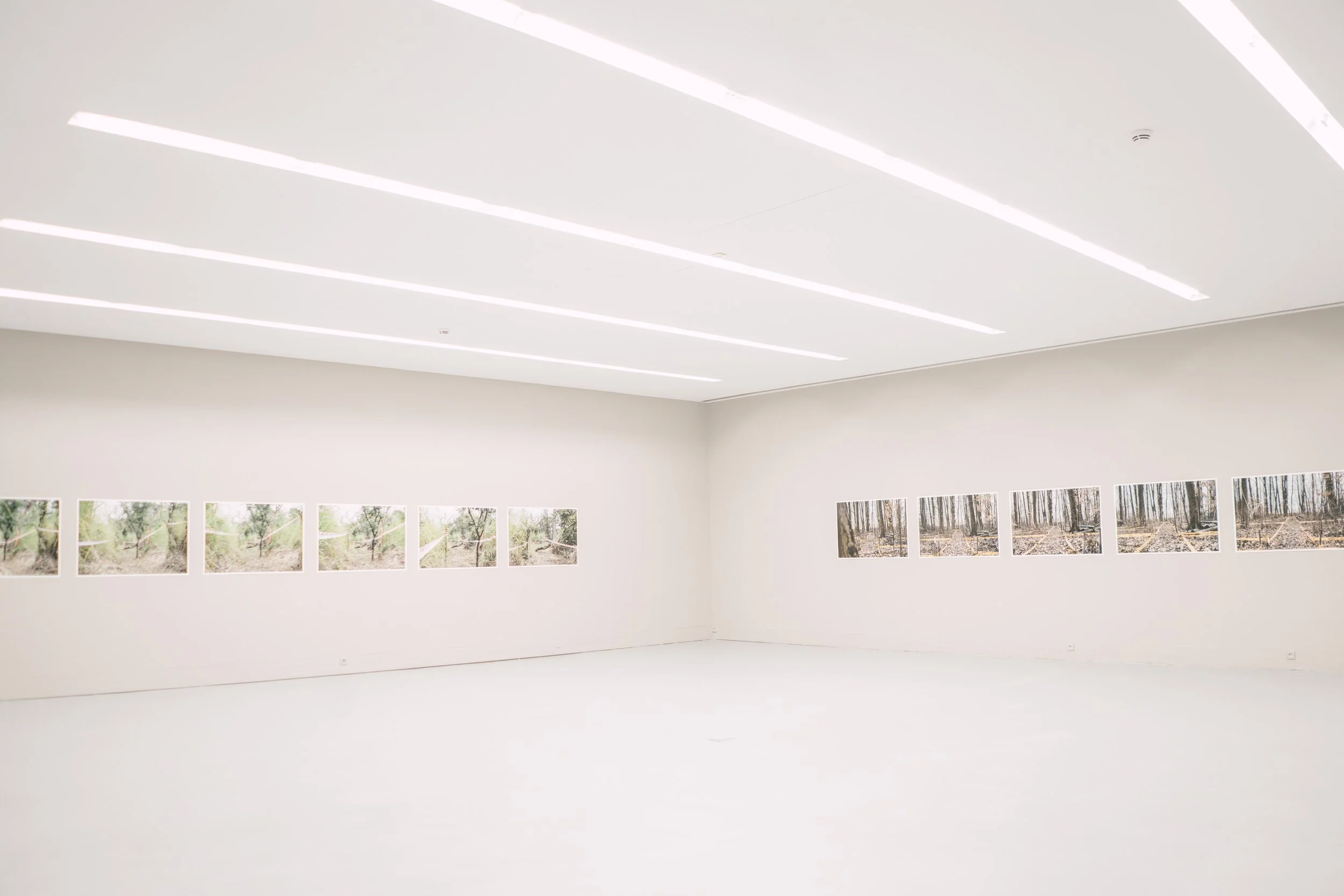 Angolan and Bosnian Series, Escola das Artes, Porto, 2022
