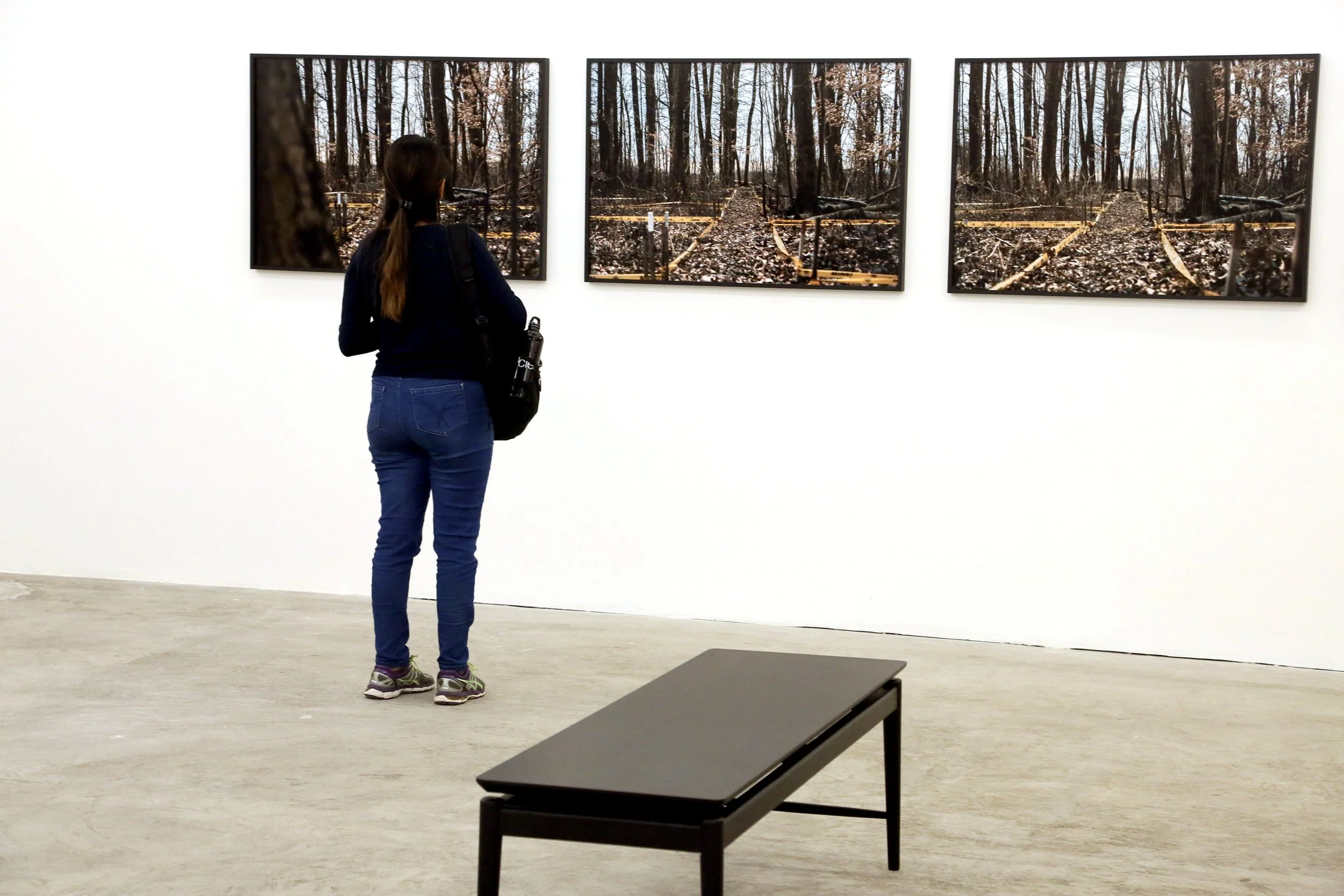 Bosnian Series, Villa Aymoré, Instituto Pipa, 2019