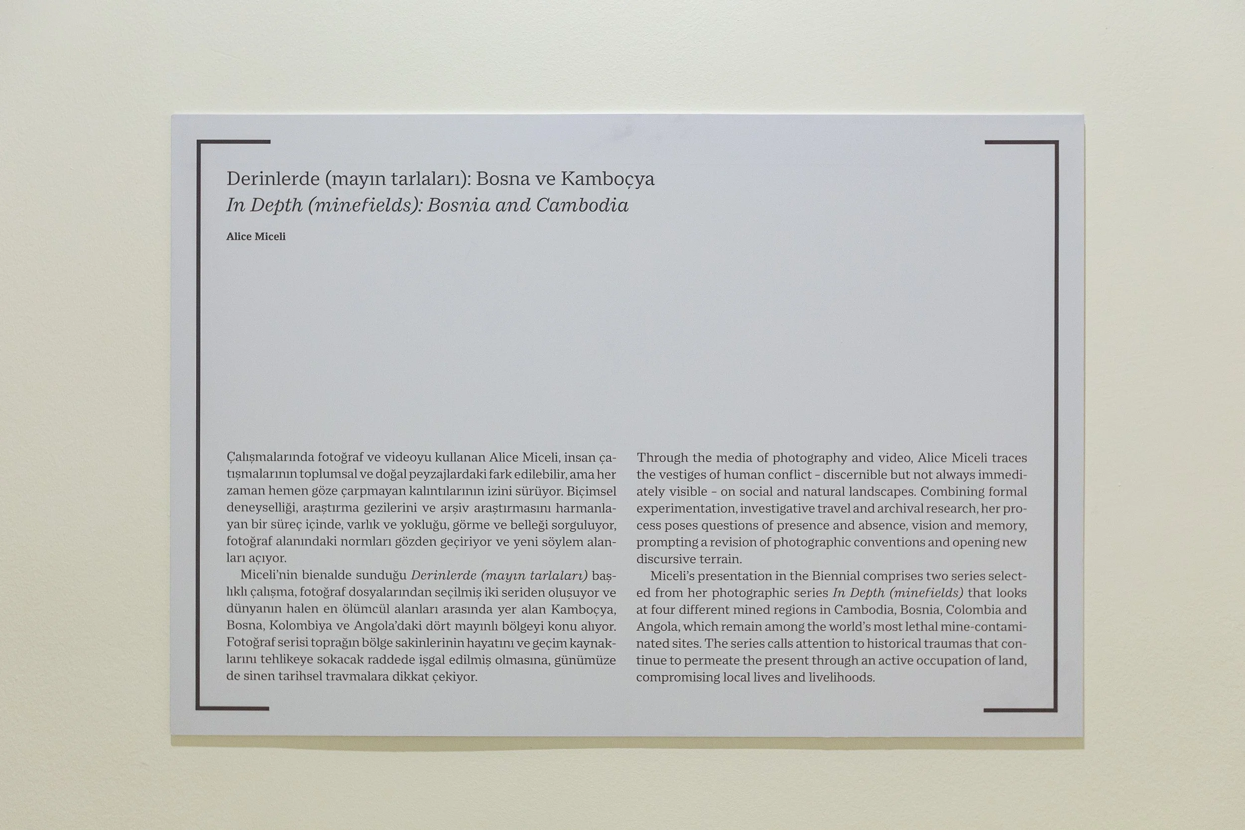 Bosnian and Cambodian Series, 17th Istanbul Biennial, 2022