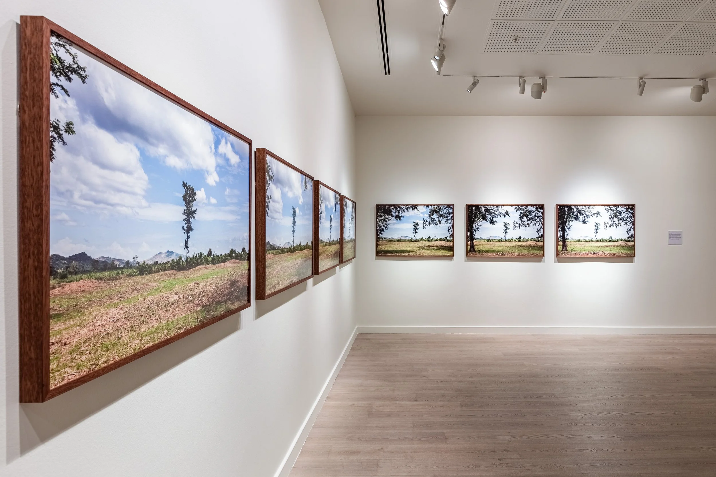 Cambodian Series, 17th Istanbul Biennial, 2022