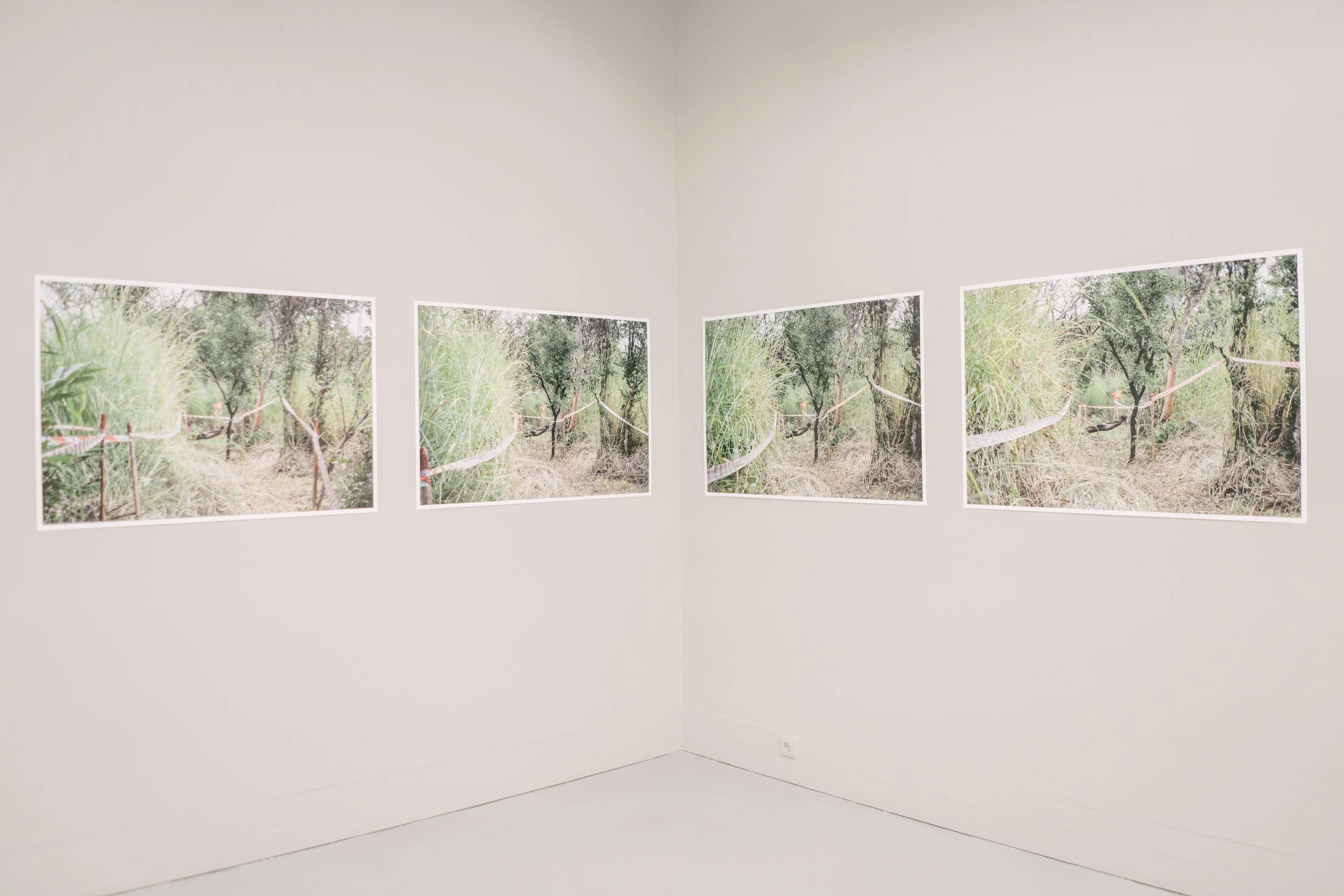 Angolan Series, Escola das Artes, Porto, 2022