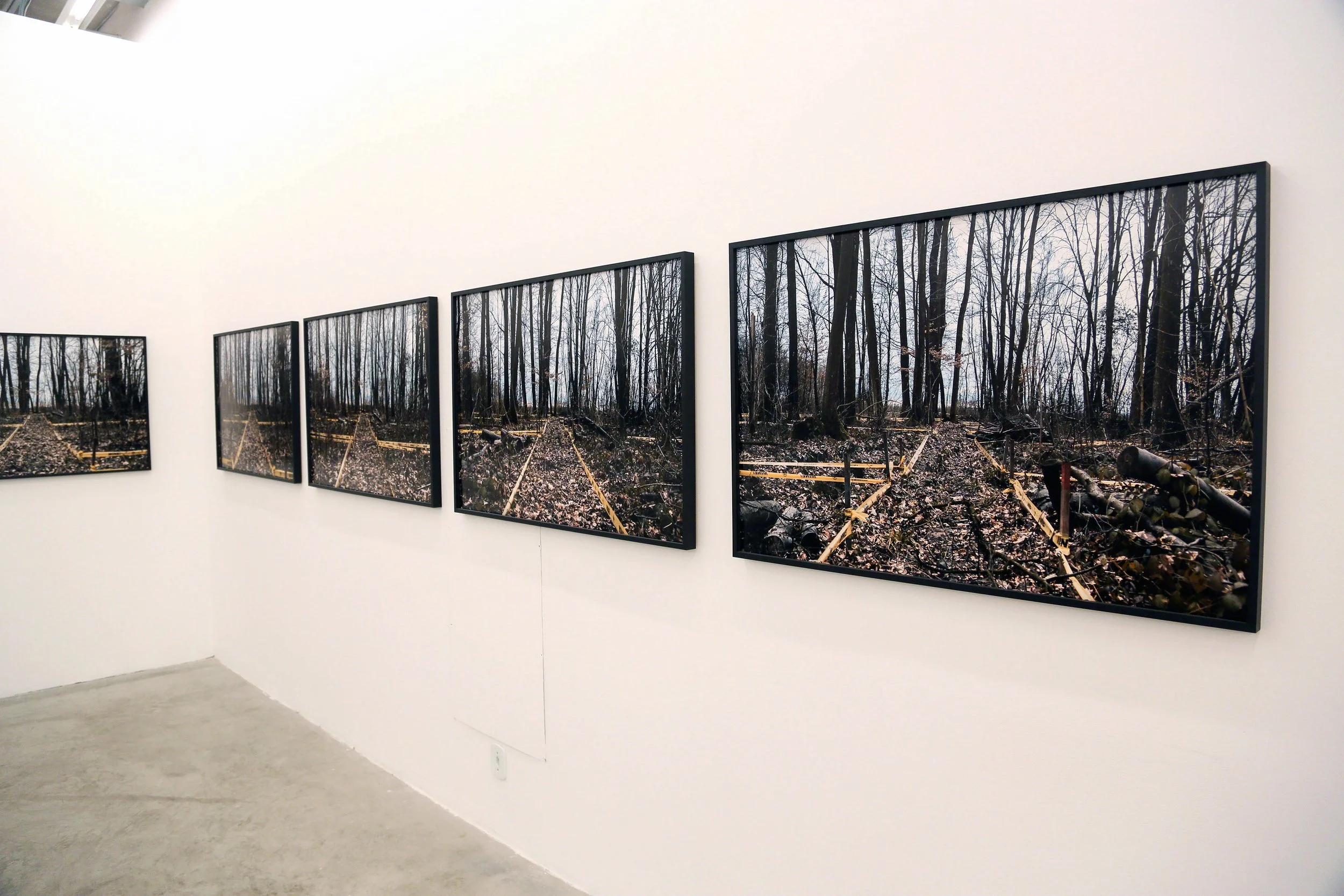 Bosnian Series, Villa Aymoré, Instituto Pipa, 2019