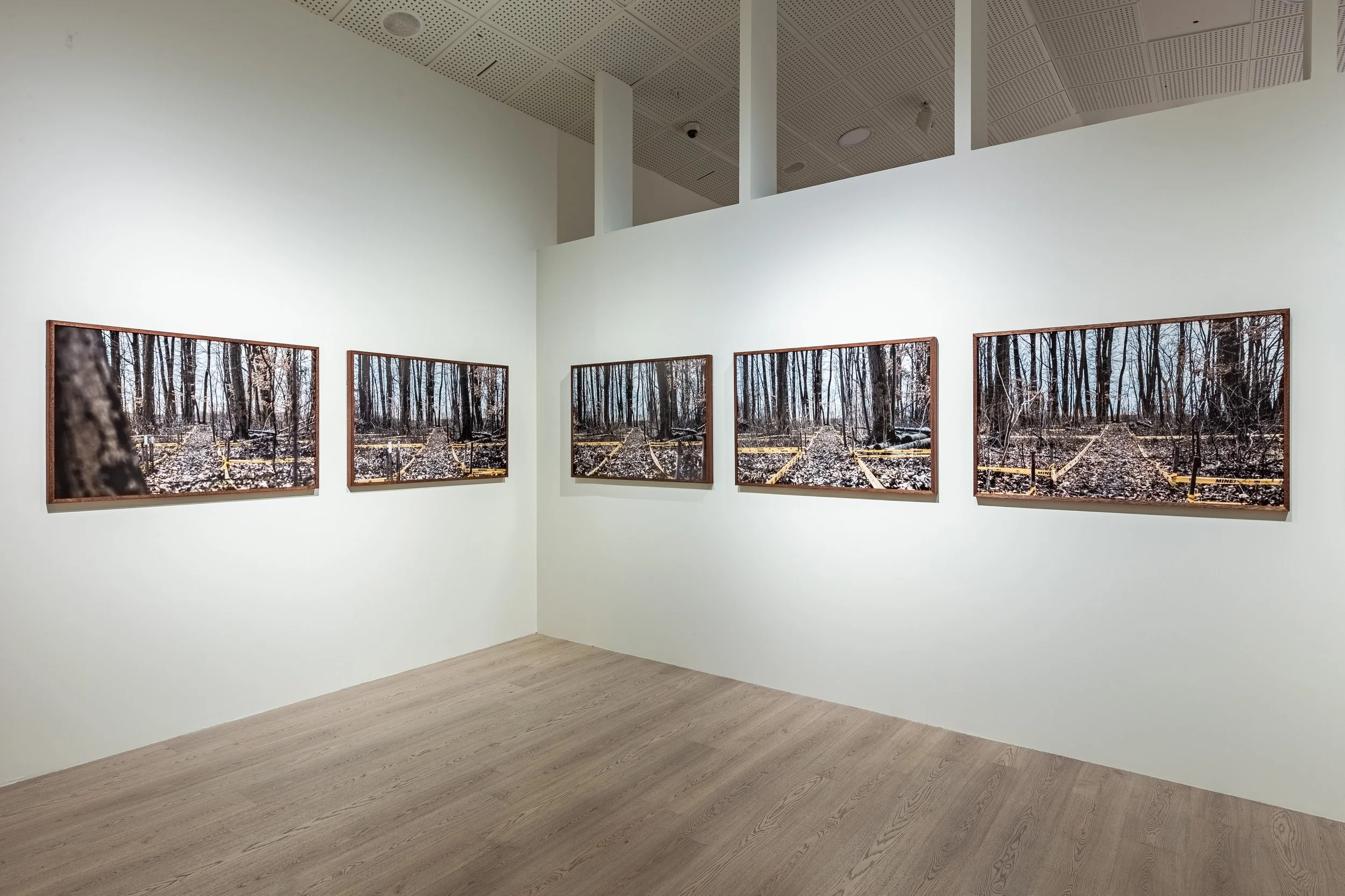 Bosnian Series, 17th Istanbul Biennial, 2022