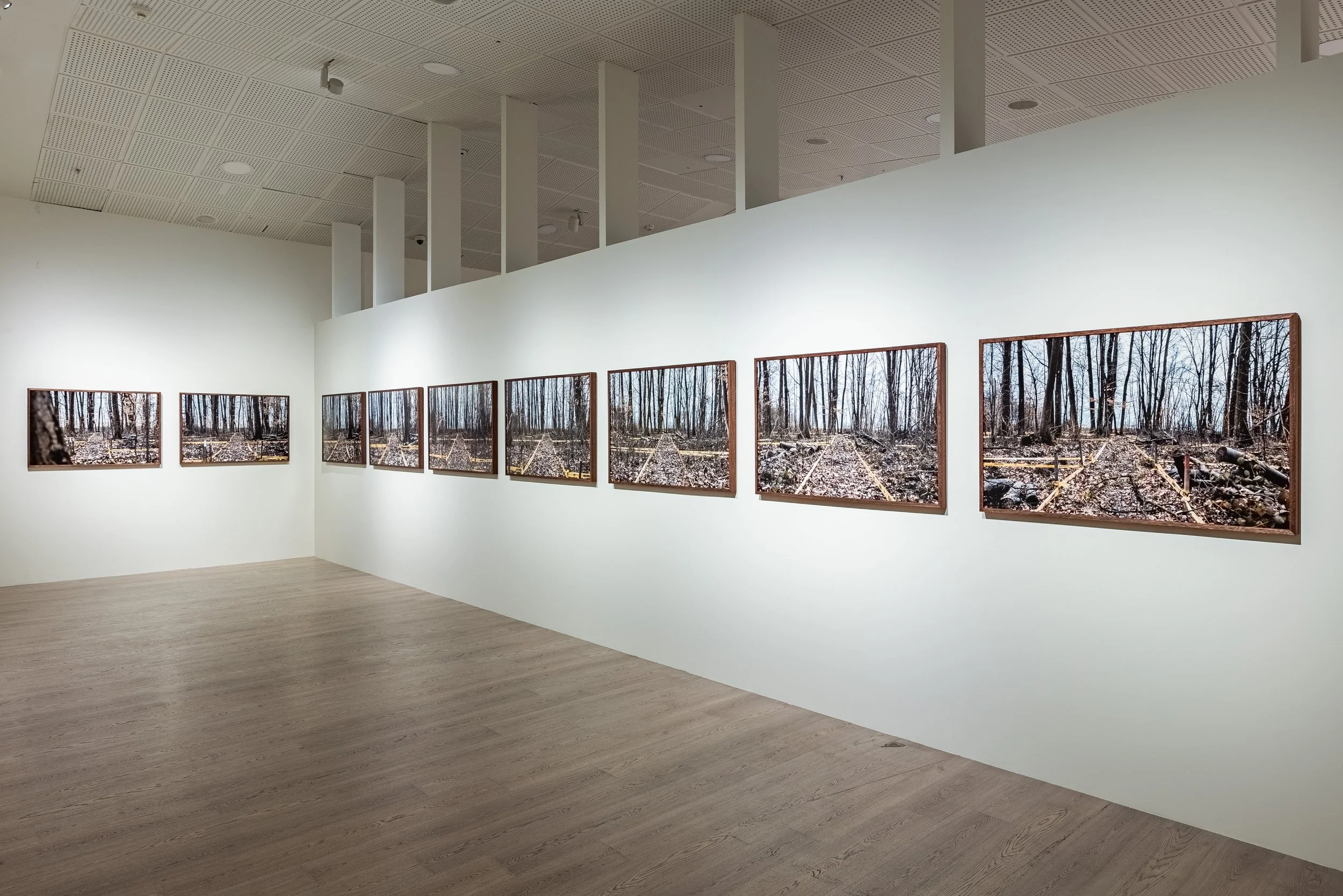 Bosnian Series, 17th Istanbul Biennial, 2022