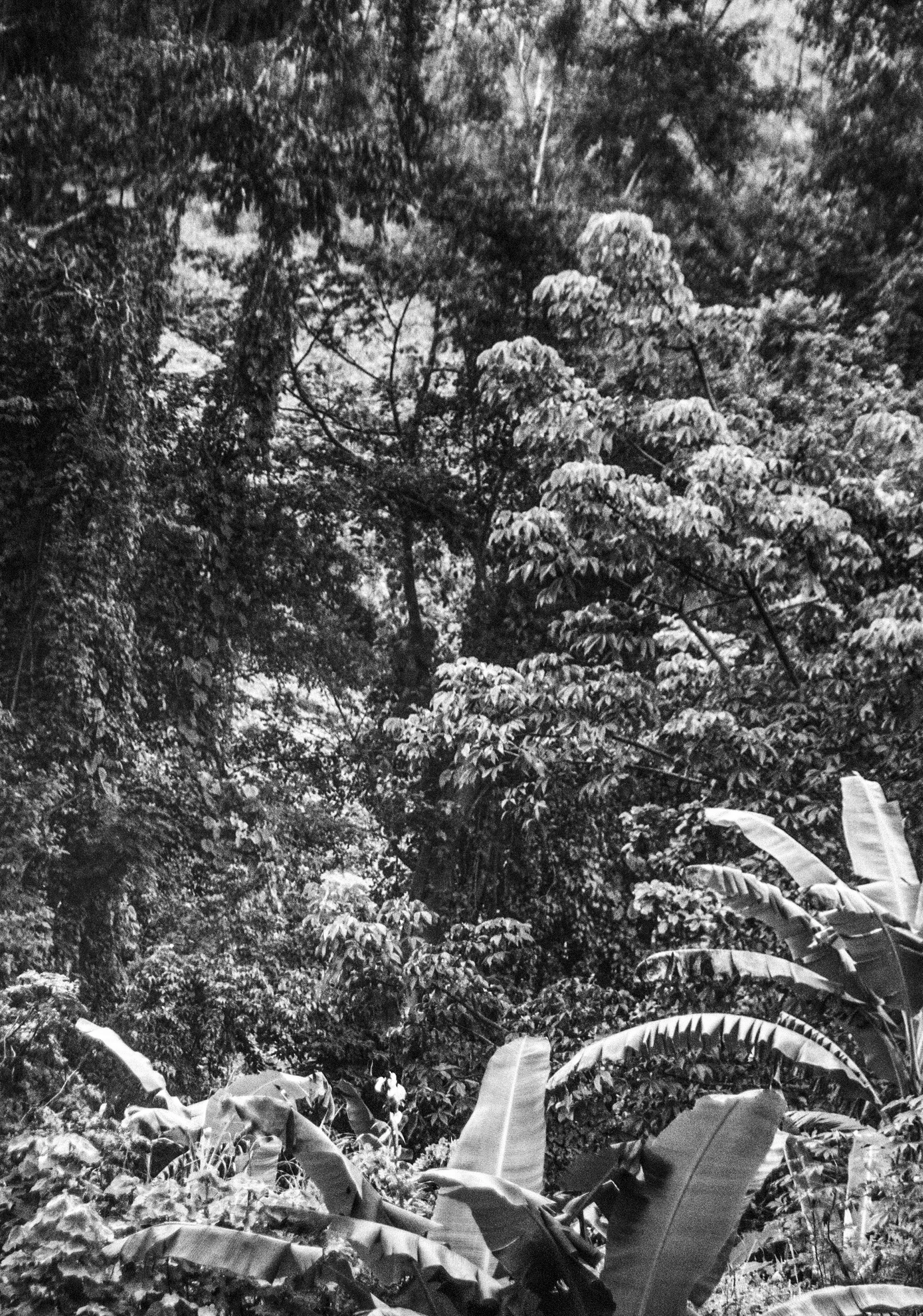 04-IMG_0282-simples01 copy.jpeg