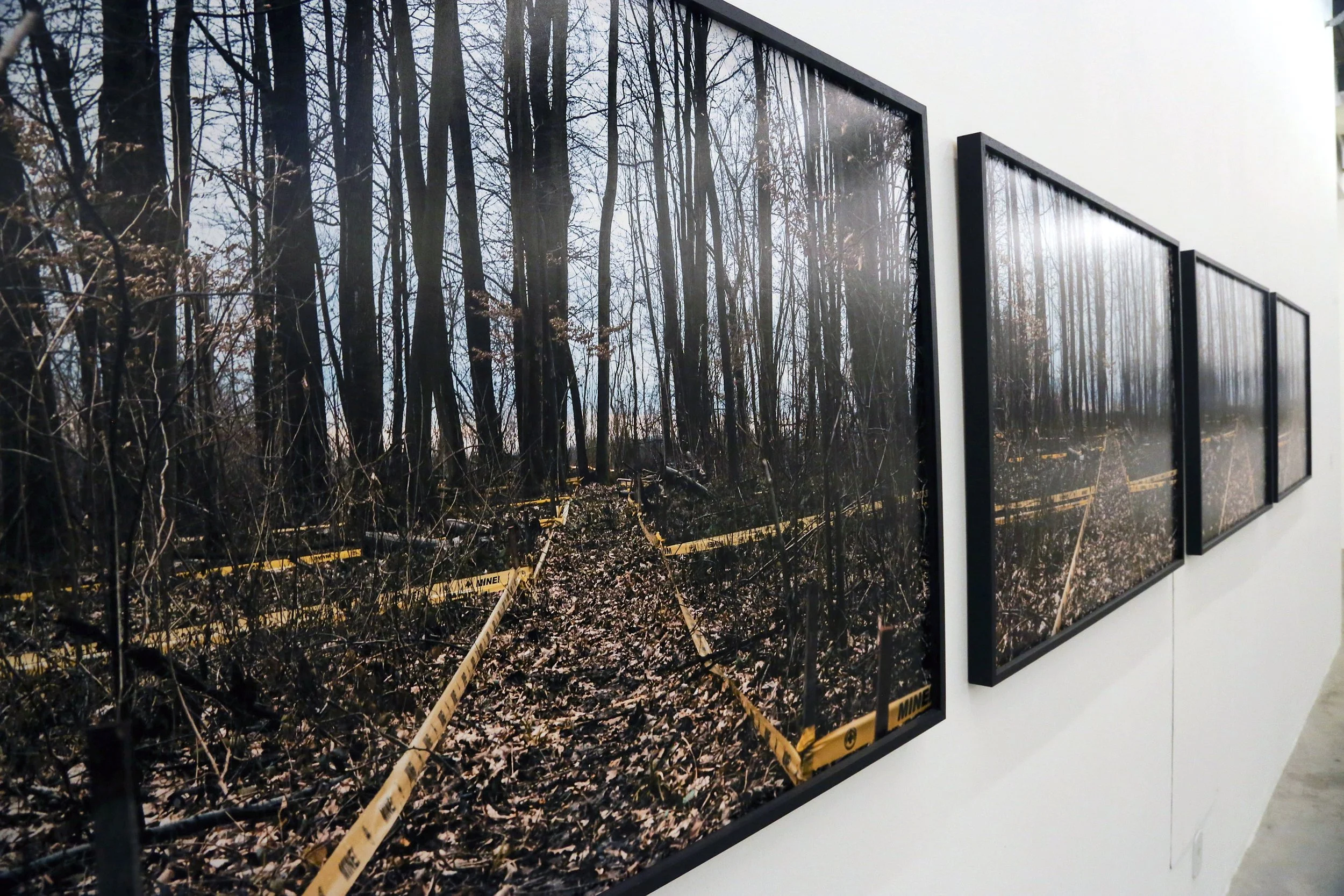 Bosnian Series, Villa Aymoré, Instituto Pipa, 2019