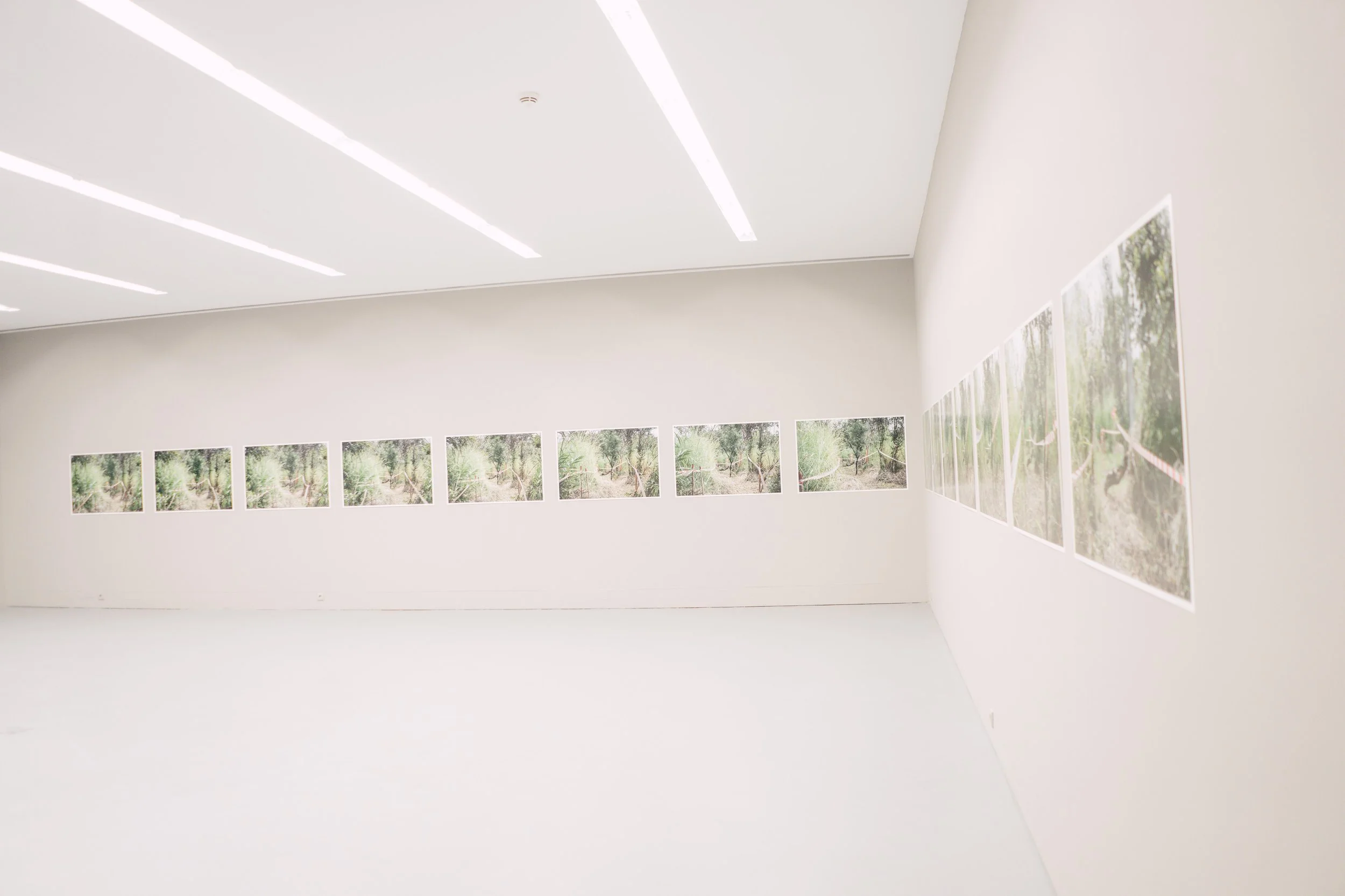 Angolan Series, Escola das Artes, Porto, 2022