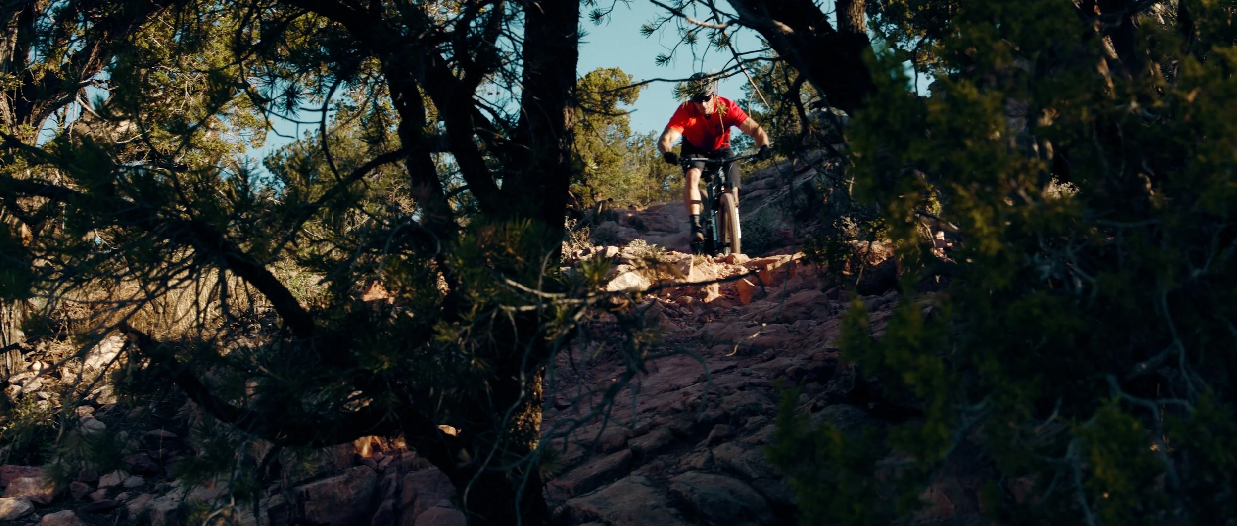 SECRET 7_BIKING_V001.00_00_45_10.Still007.jpg