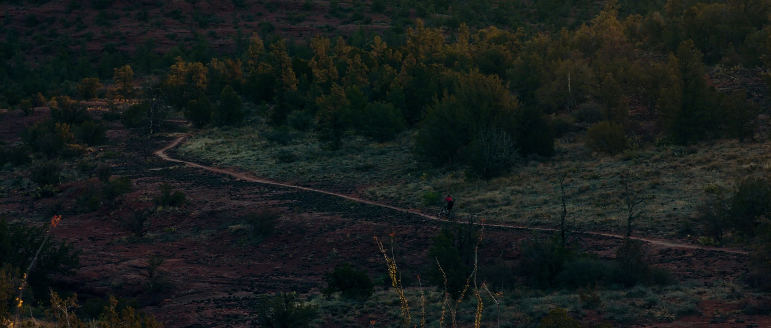 SECRET 7_BIKING_V001.00_00_44_05.Still006.jpg