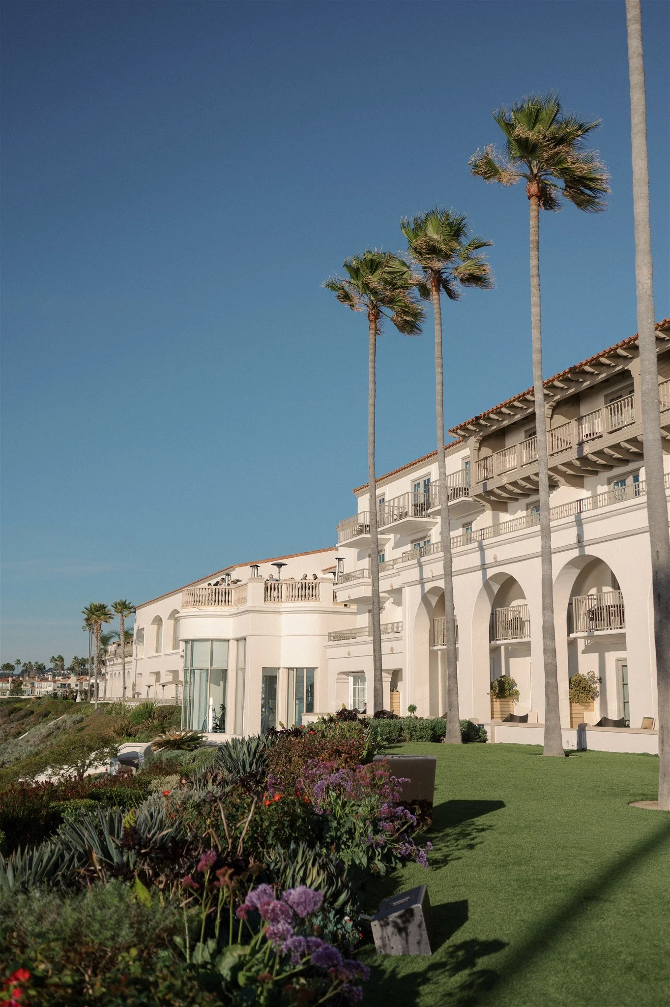 Ritz-Carlton-Laguna-Niguel-Wedding-Planner.jpg