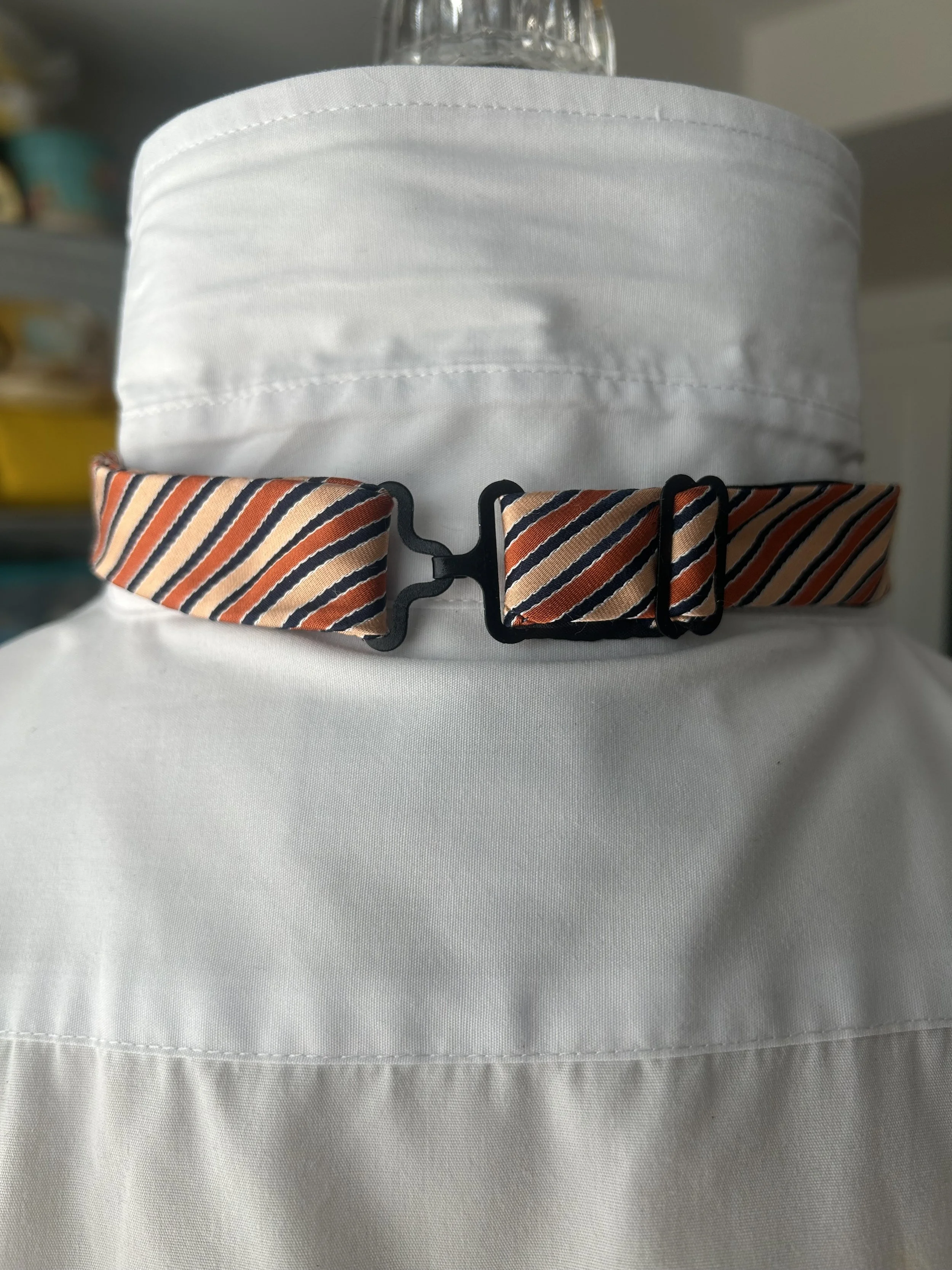 Orange Blue stripe back.jpeg
