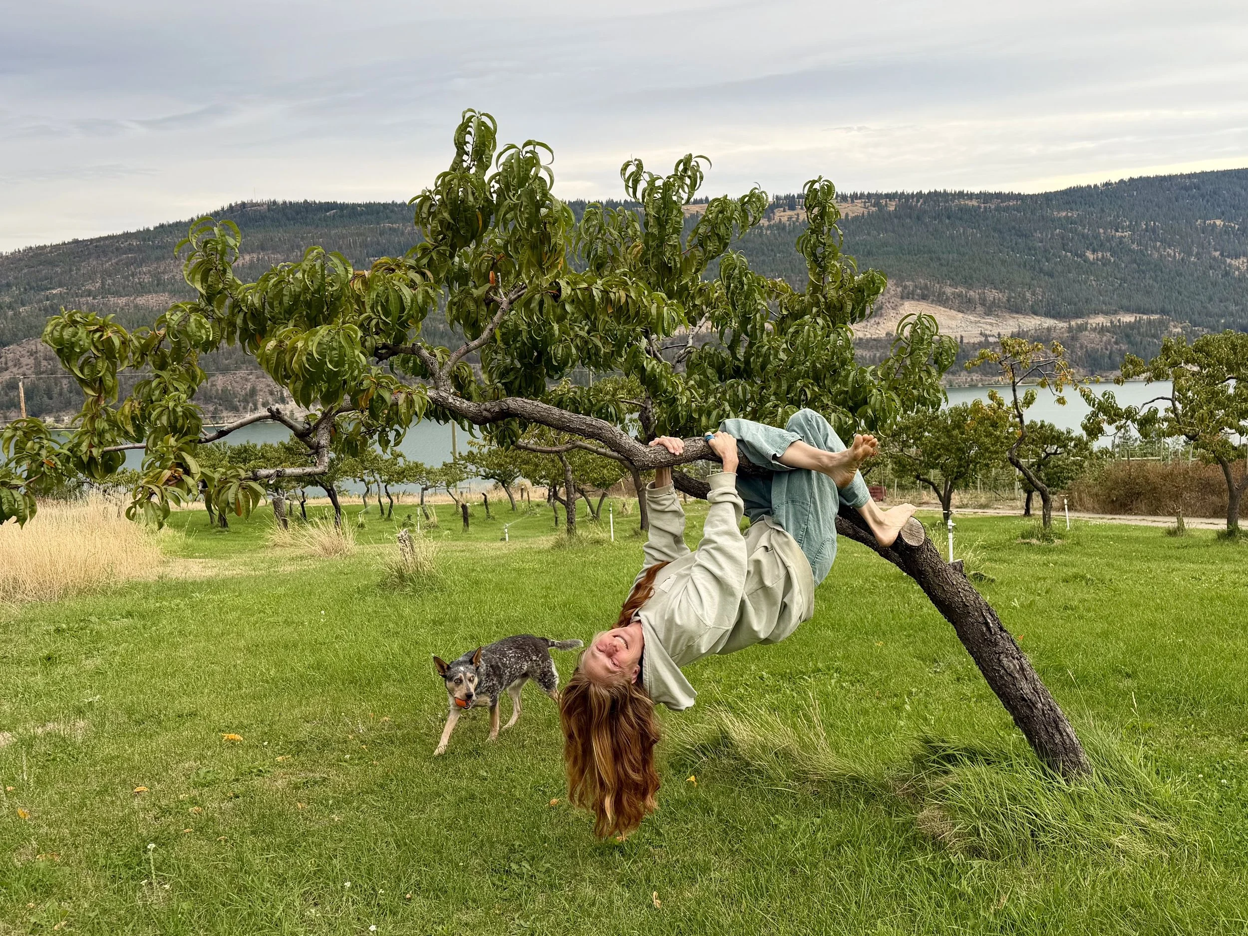 40 Day Challenge - Self Care Superstar: A Body Reset Journey