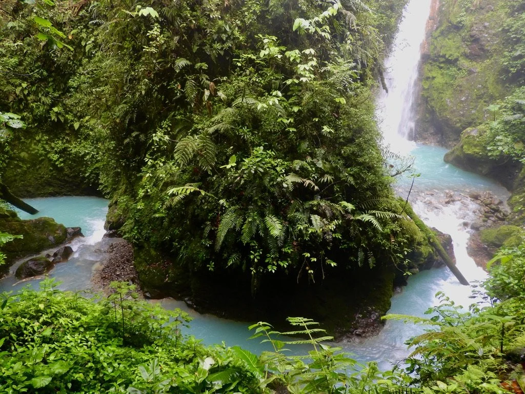 084B3D02-40AB-45A7-A6C7-0C9108C4800A_1_105_c.jpeg