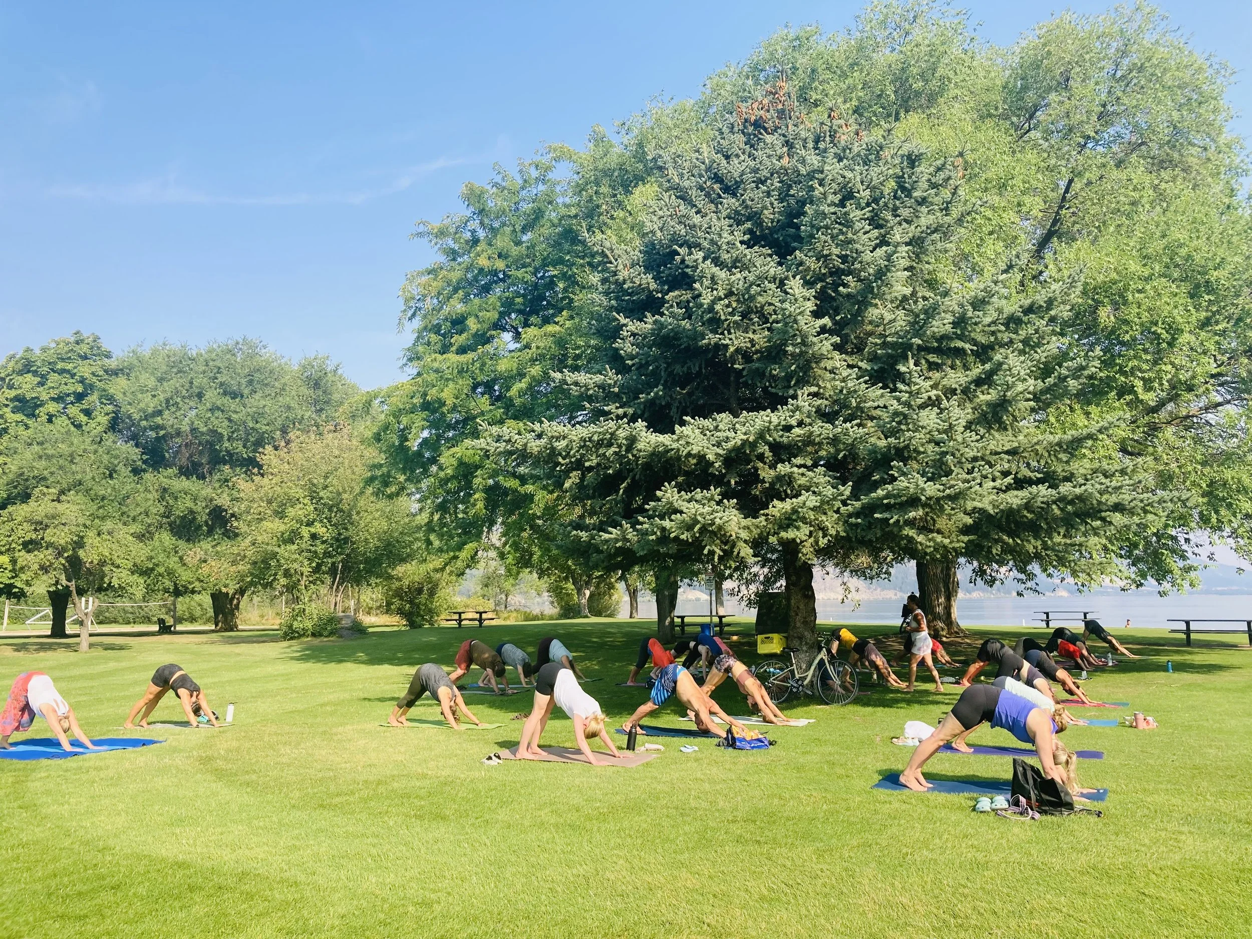 OUTDOOR YOGA AT OKANAGAN CENTER PARK
