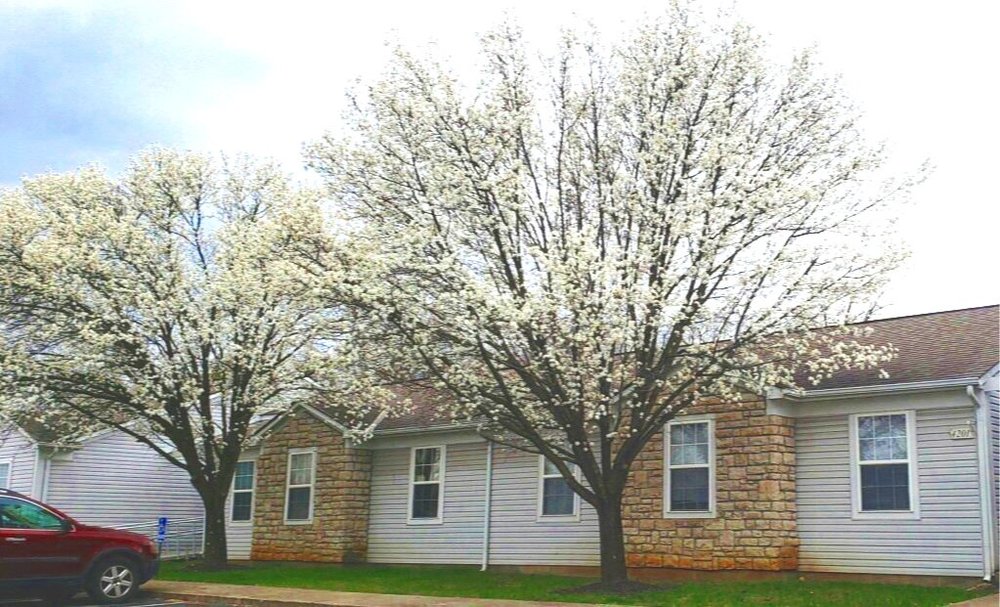 Modern, newly renovated Apartments — Millstone Lakes Apartments