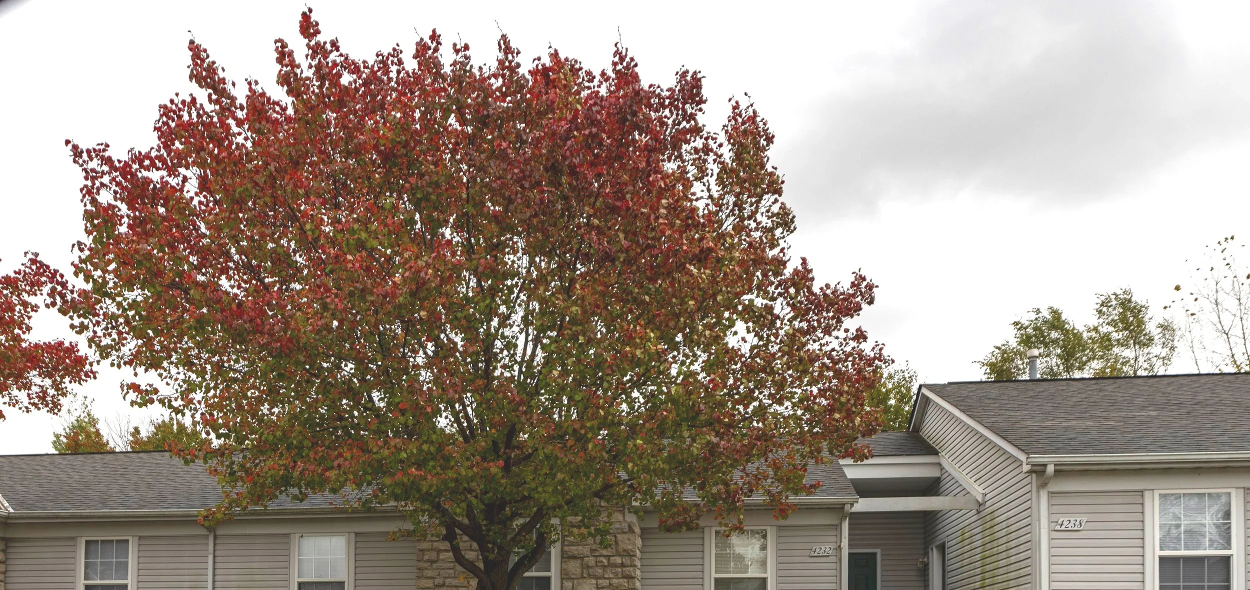 About Millstone Lakes Apartments — Millstone Lakes Apartments