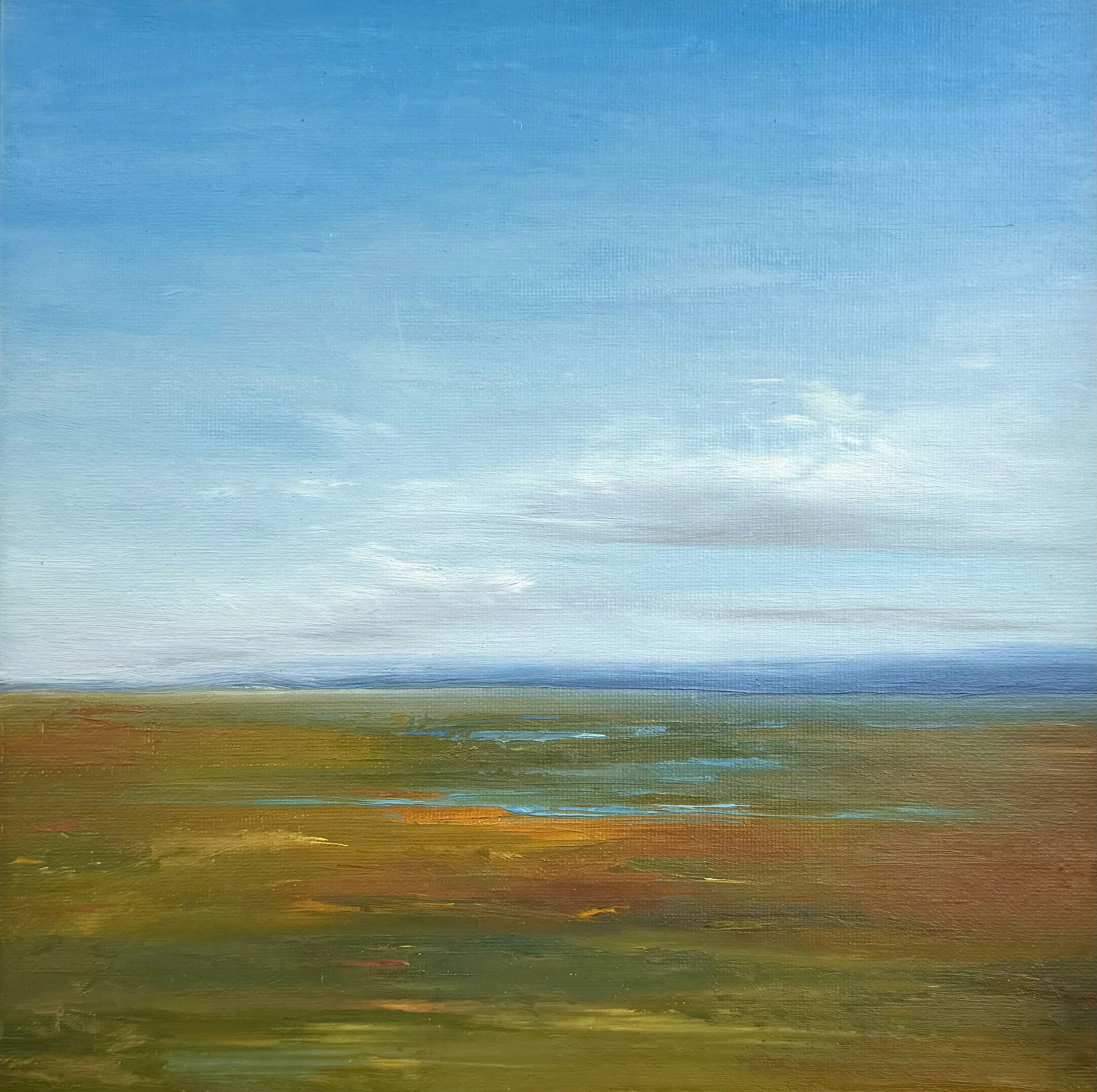 HAMILTON MARSH  [SOLD]