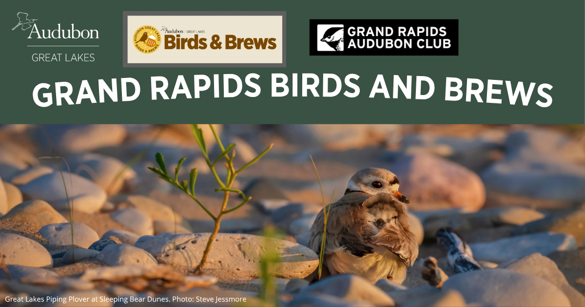 Birds & Brews