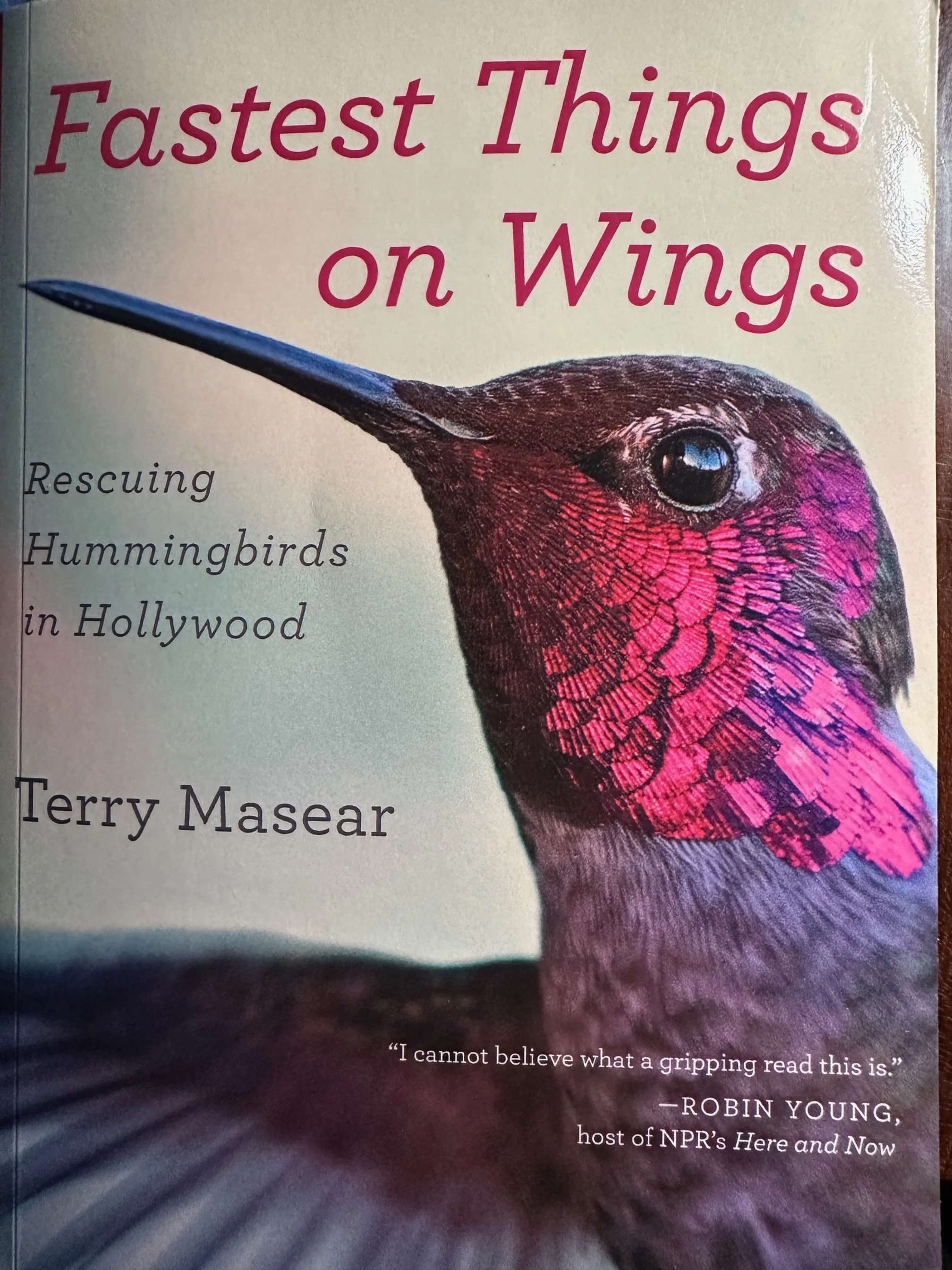 September Birdy Book Club