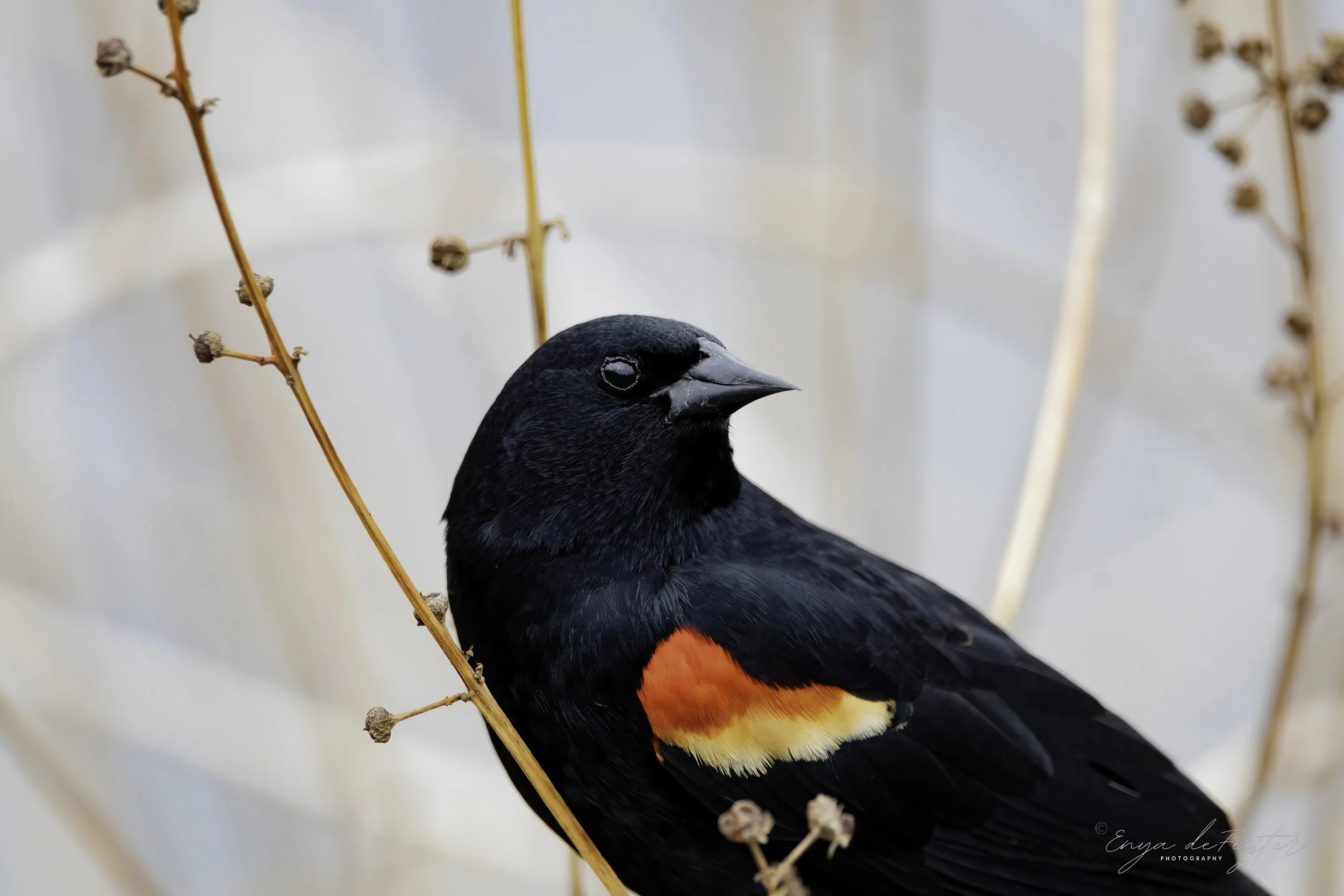 Weekly Hike at Millennium Park