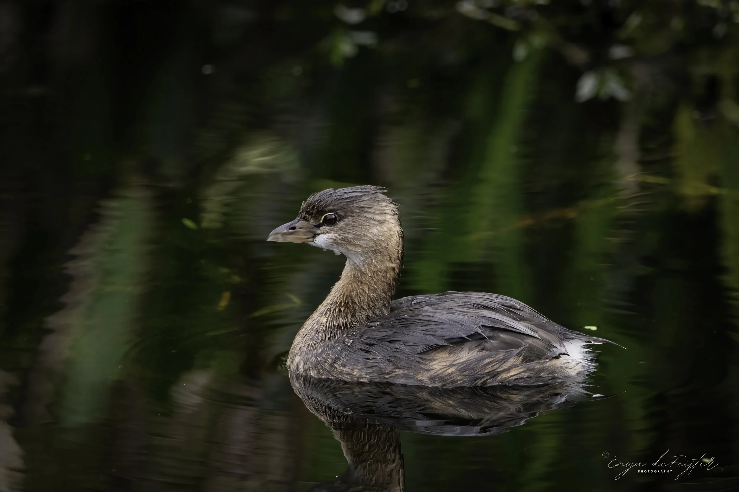 Weekly Hike at Millennium Park