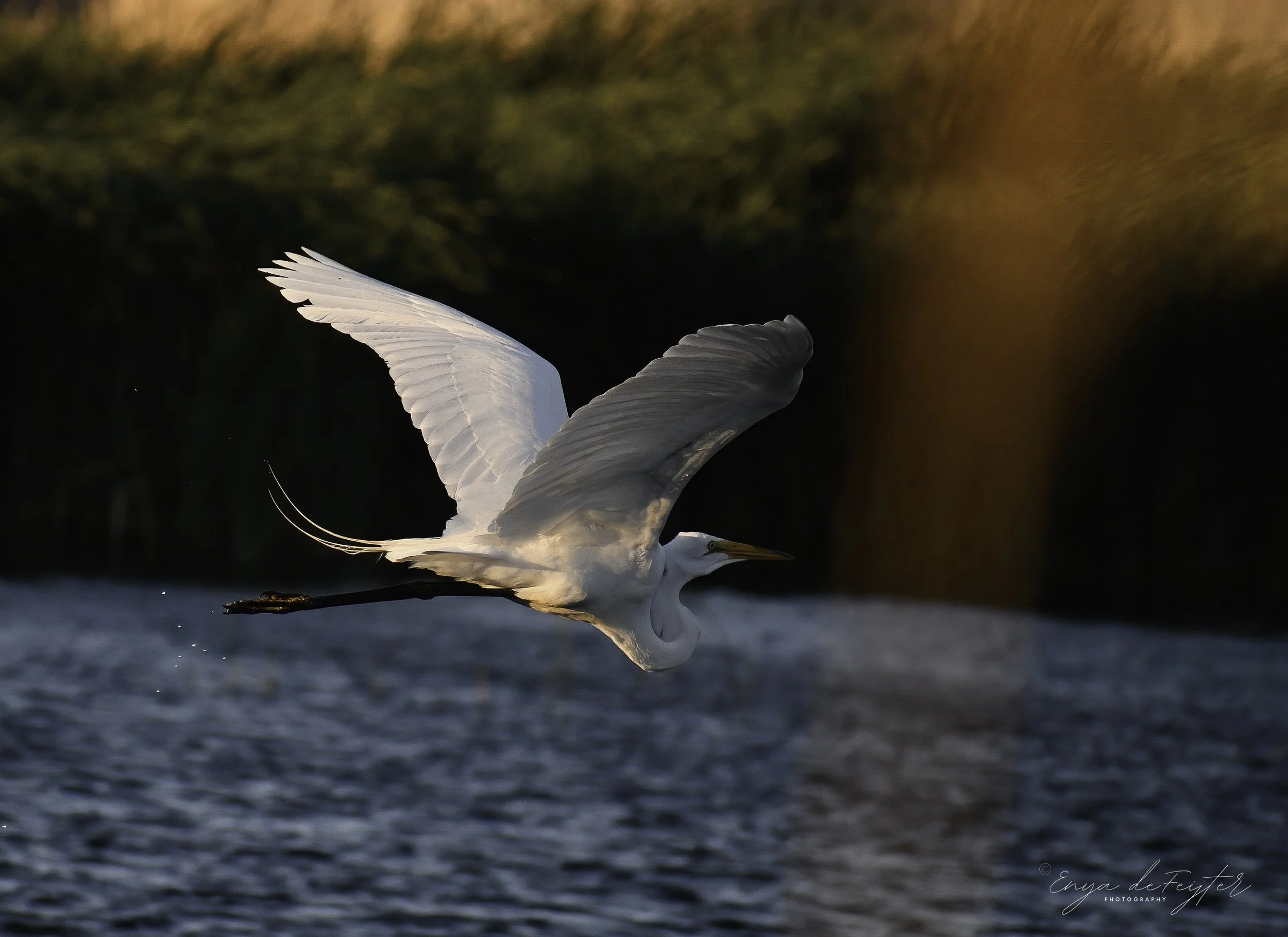 Weekly Hike at Millennium Park
