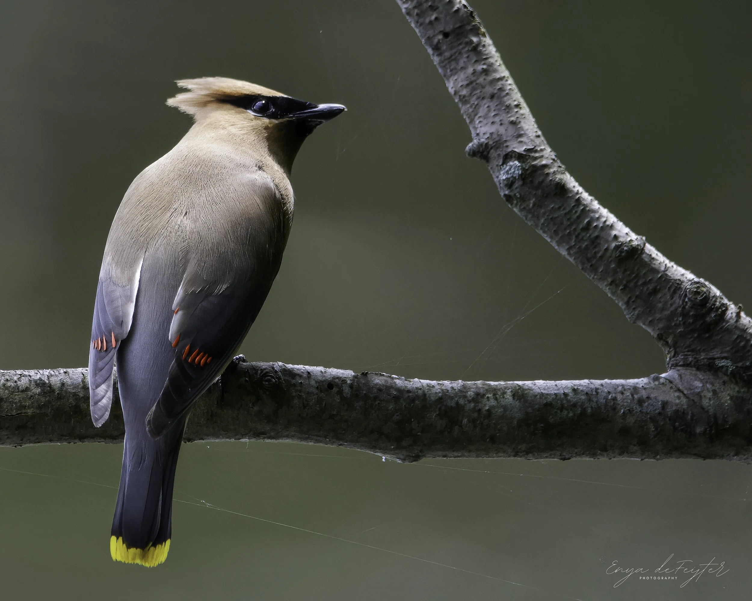 Weekly Hike at Millennium Park