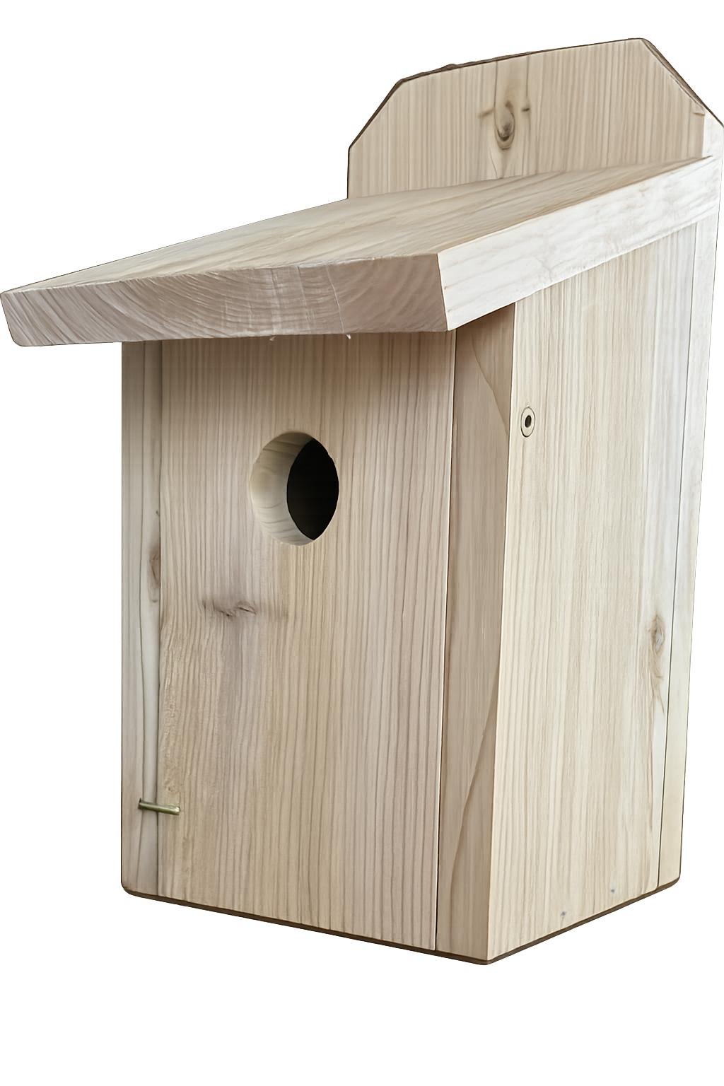 Bluebird Box Building Workshop with Dave Dennett