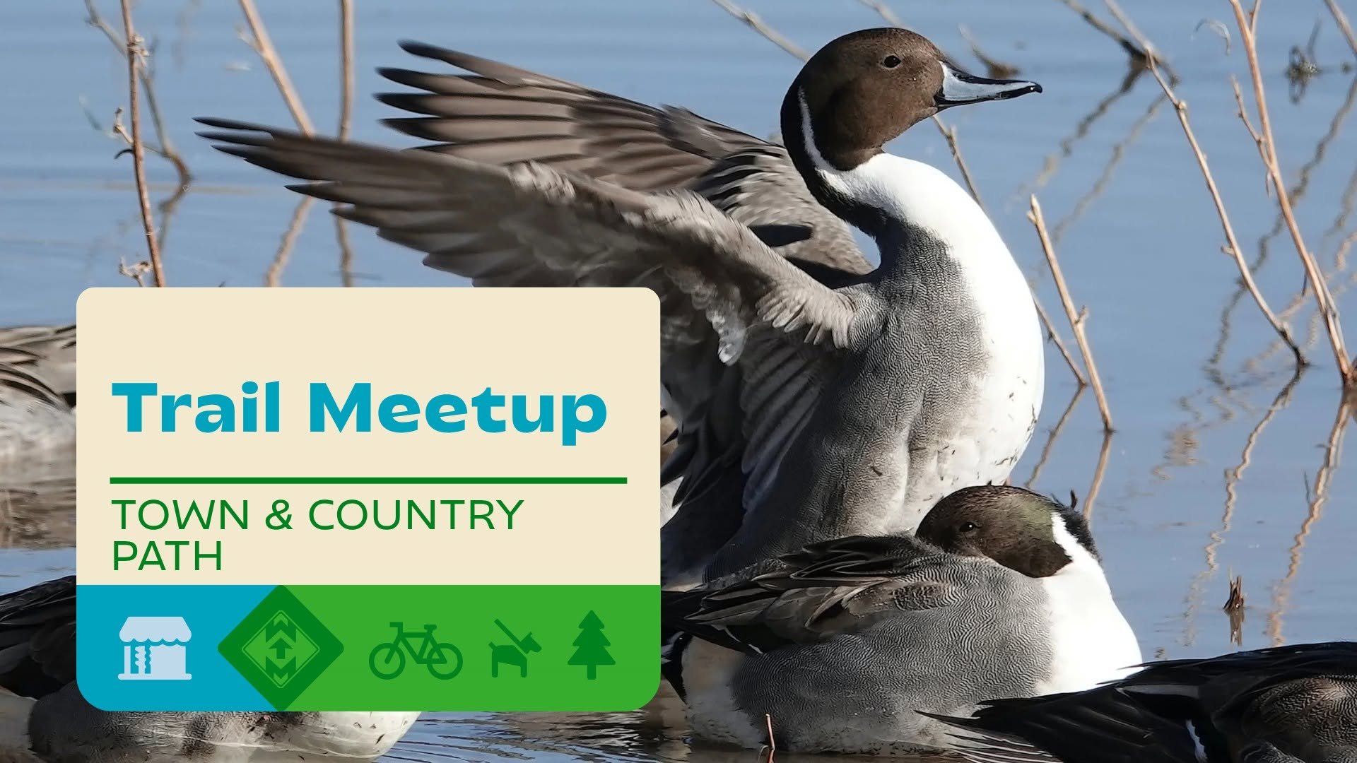 Trail Meetup: Branstrom Park 