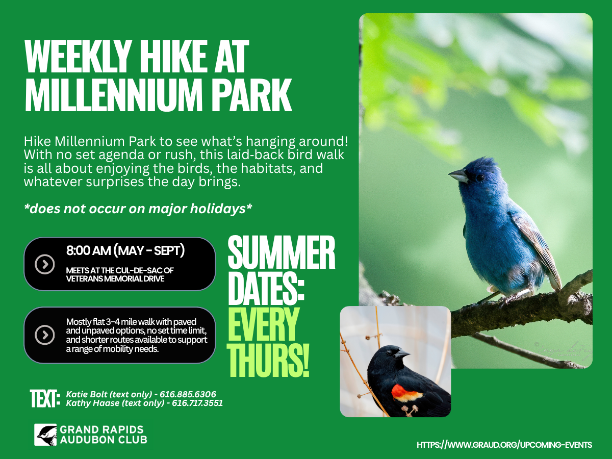 Weekly Hike at Millennium Park