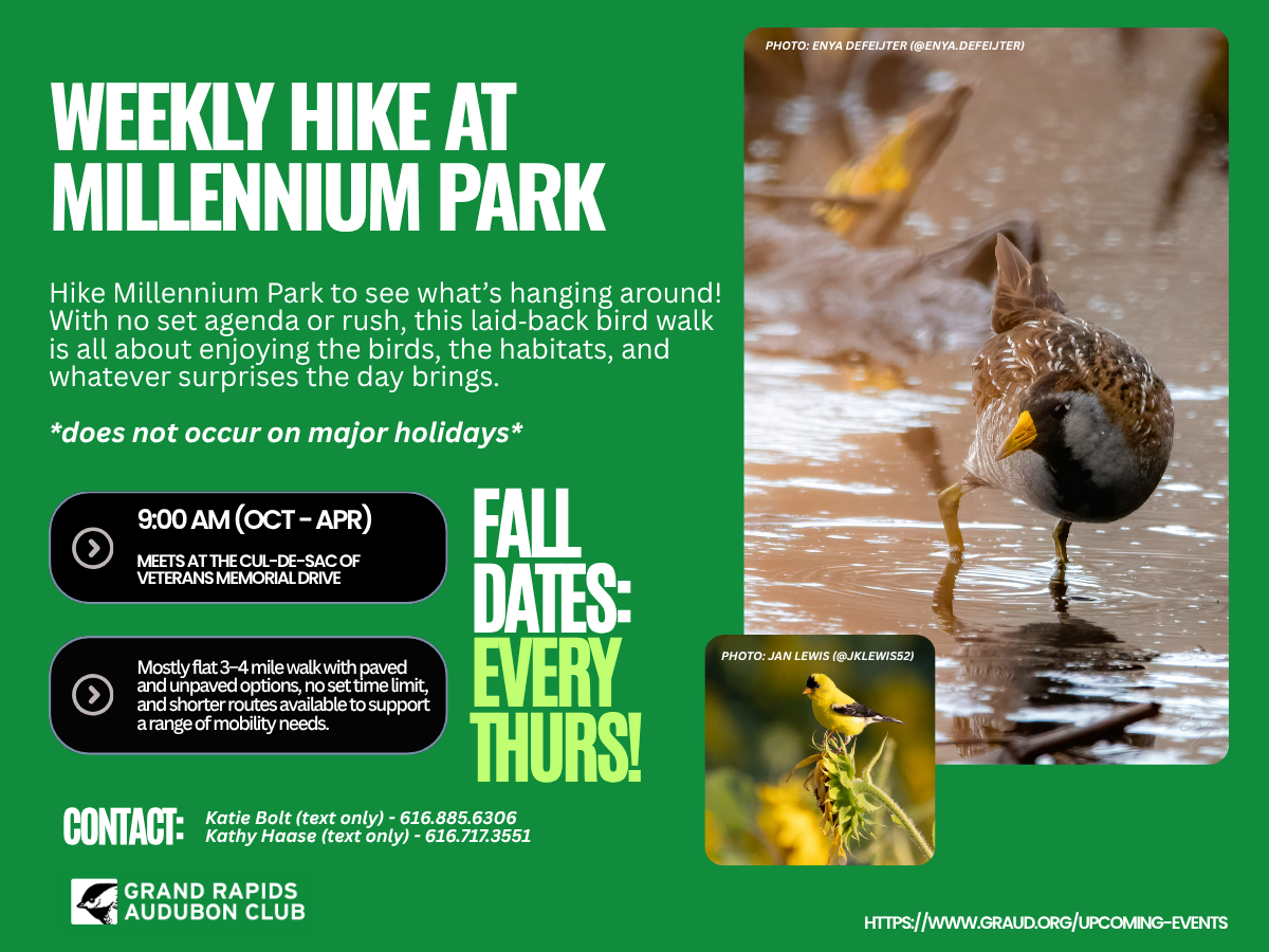 Weekly Hike at Millennium Park