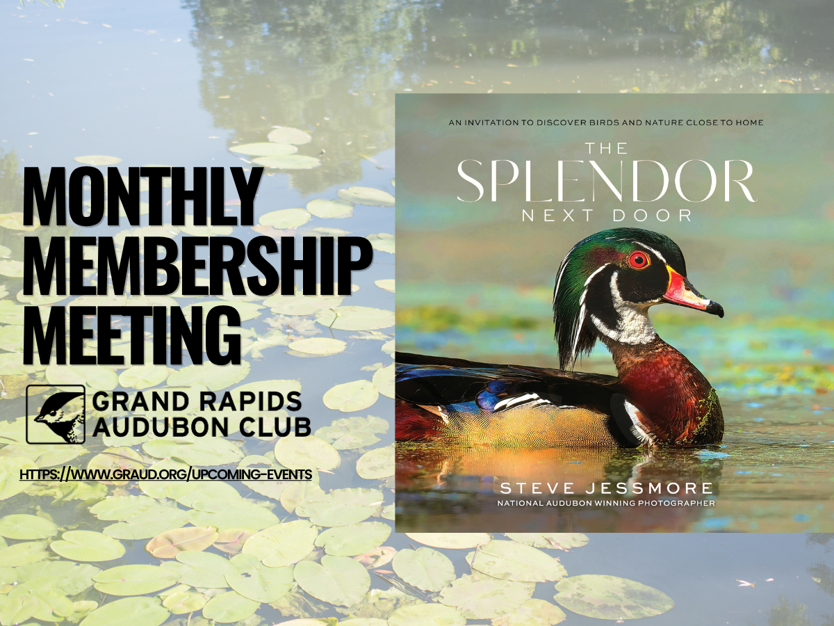 “The Splendor Next Door: Discovering Birds and Nature Close to Home” with Steve Jessmore (November Member Program)