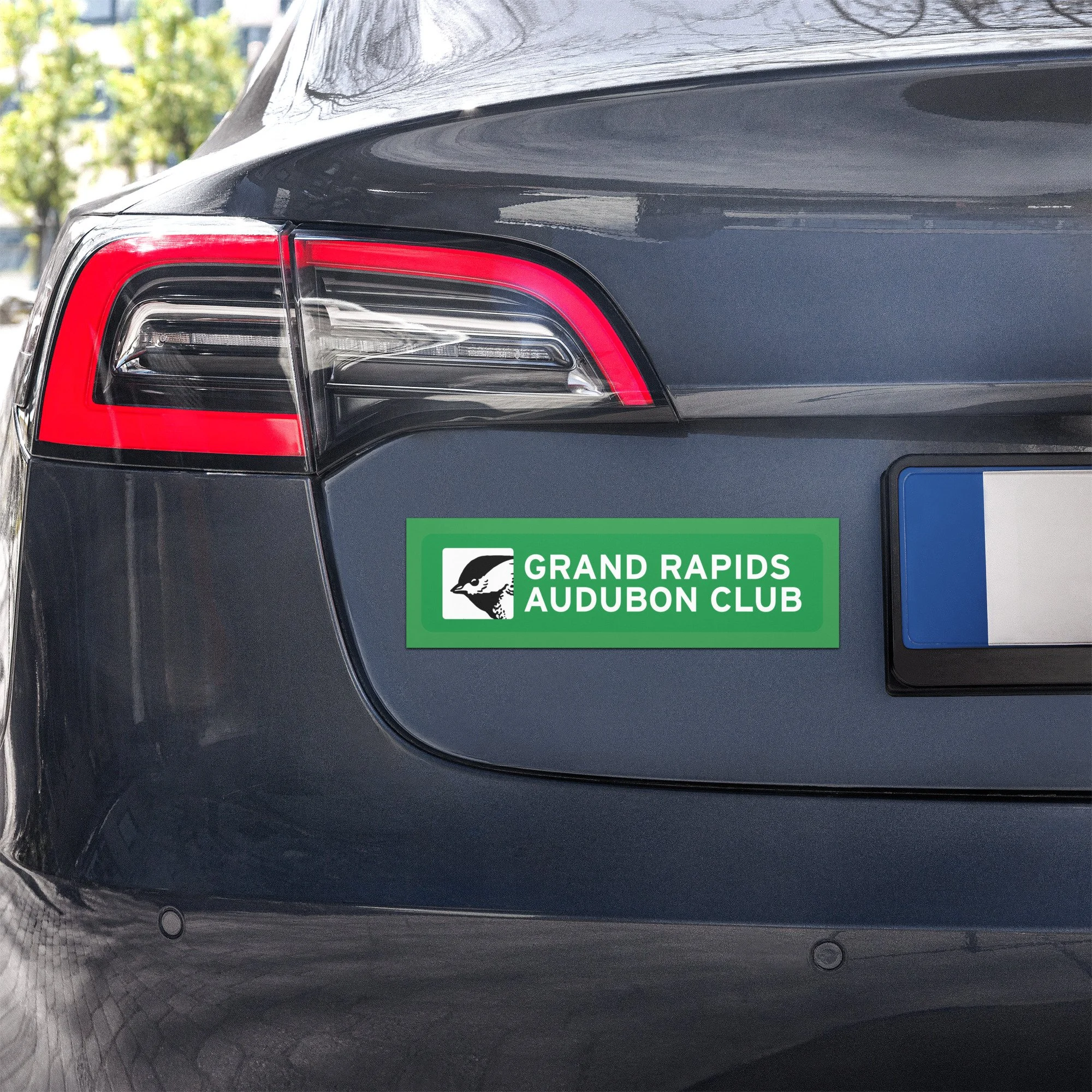 Car Magnet (Logo)