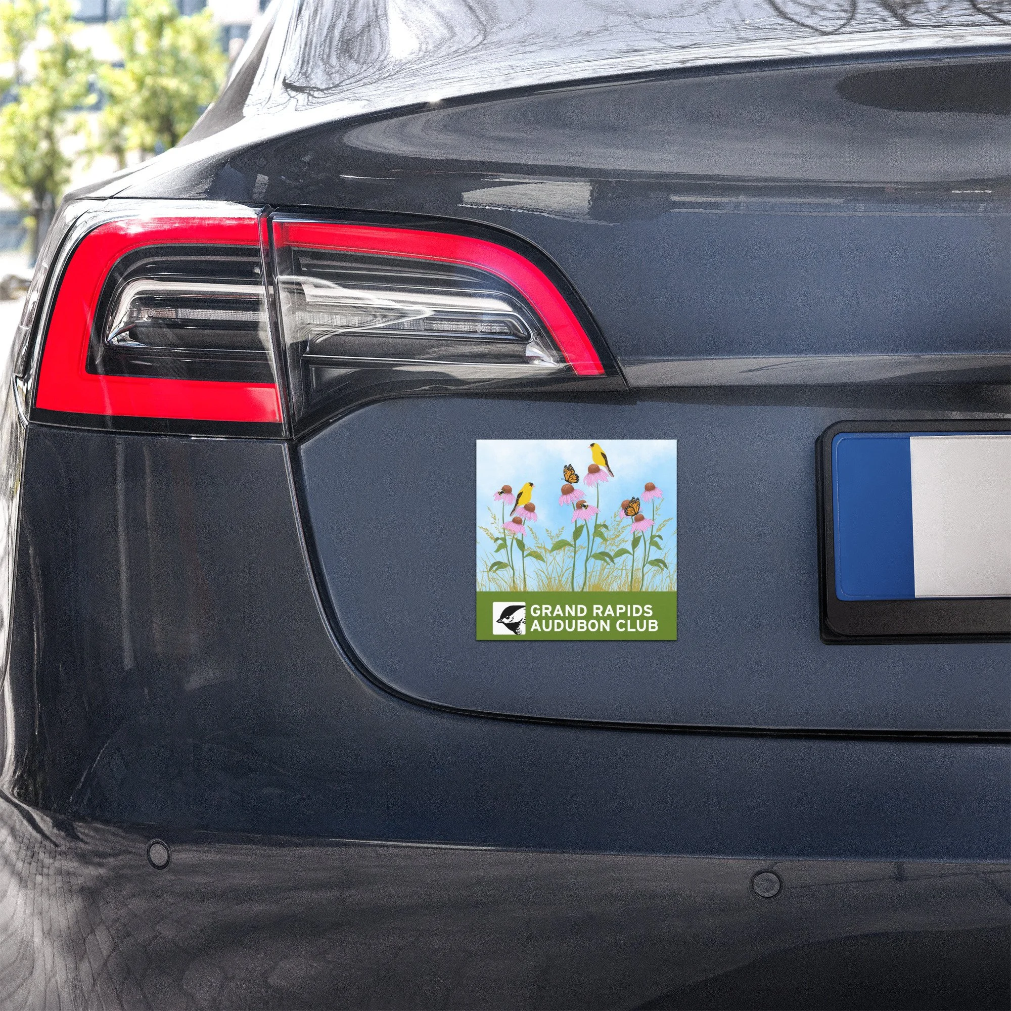 Car Magnet (Goldfinch)