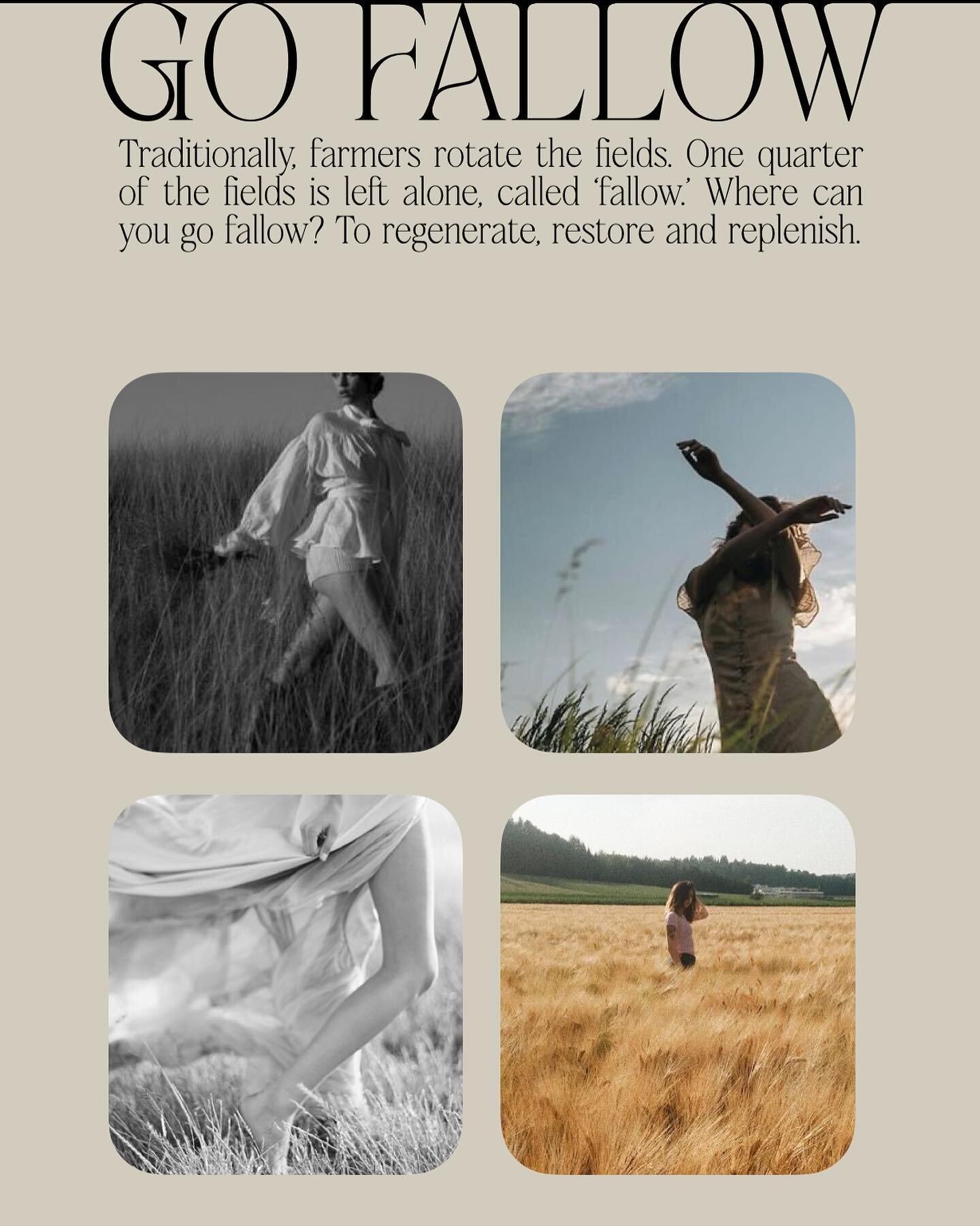 To Go Fallow ~

Sometimes, we need to pause. To be still, and allow for what is to wash over us. To let go of doing and creating. To go fallow.

Traditionally, farmers would leave alone one quarter of their fields for this time and space to regenerat