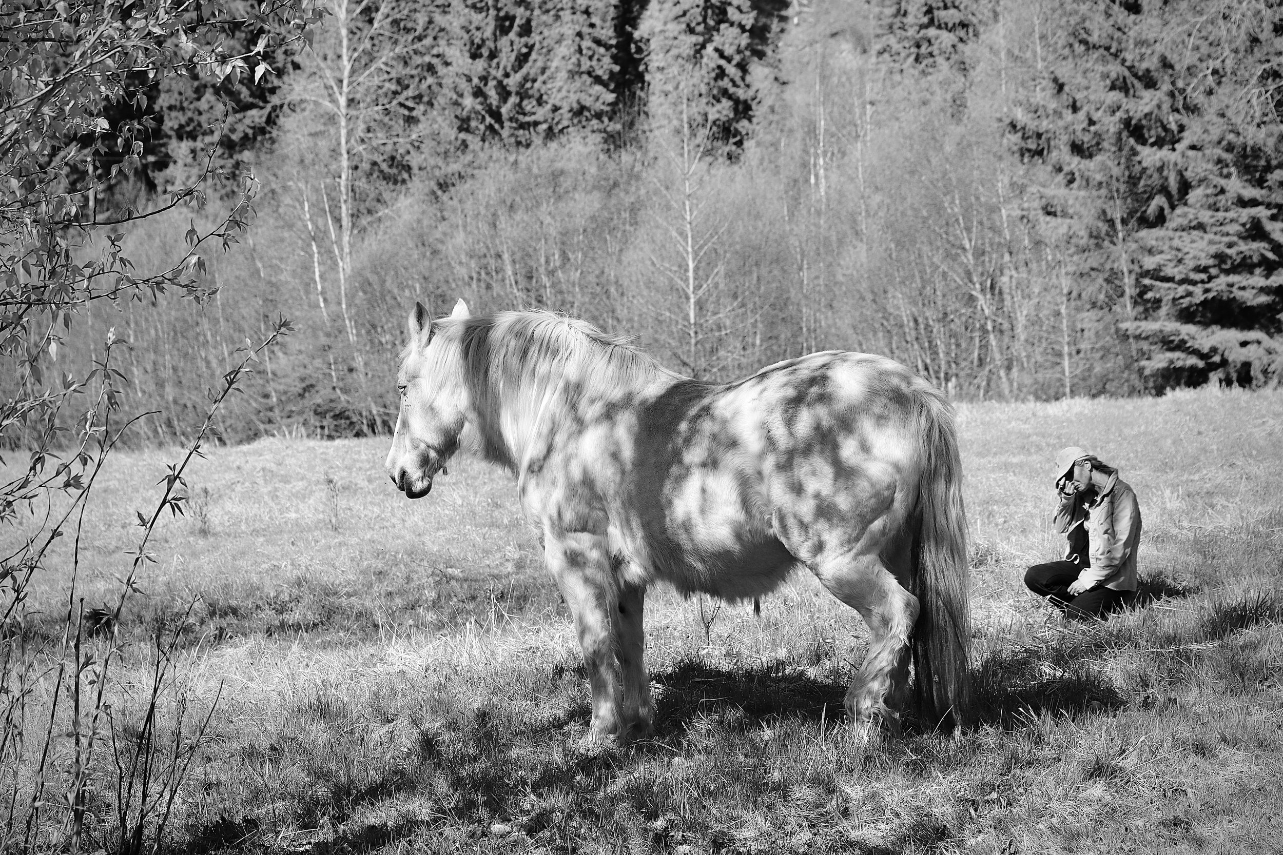 IMG_9230 Malachi 1.jpeg