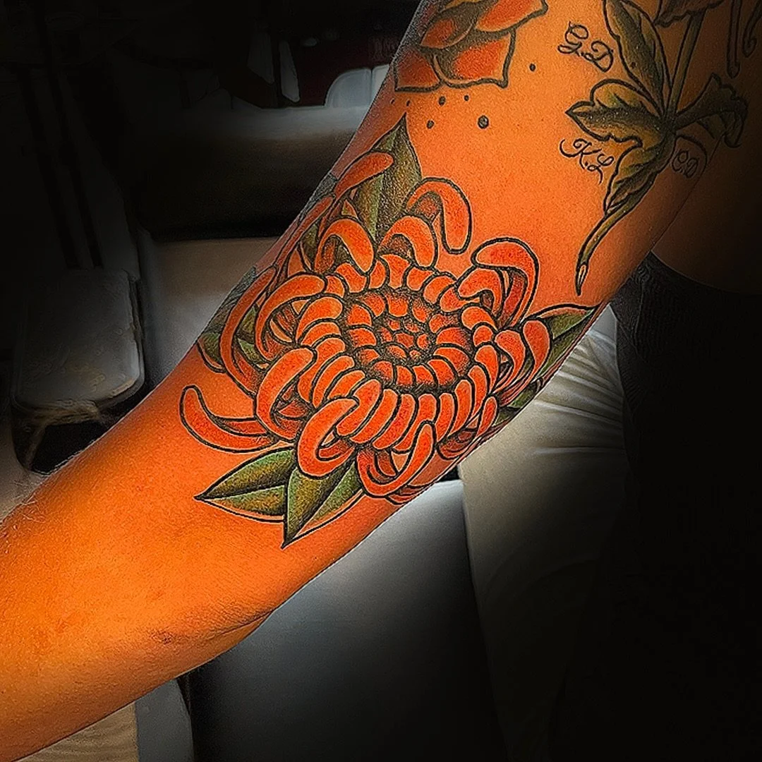 Hers and His Traditional Chrysanthemums&hellip;

@LinesLikeWine 🍷 LinesLikeWine@gmail.com 
www.LakeviewTattoo.com ⚓️ Contact@LakeviewTattoo.com

#americantraditionaltattoos #ftcollins #denver #windsor #colorado