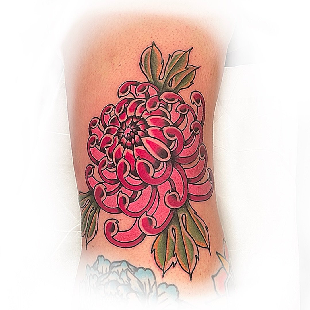 Solid Traditional Chrysanthemum&hellip;

@LinesLikeWine 🍷 LinesLikeWine@gmail.com 
www.LakeviewTattoo.com ⚓️ Contact@LakeviewTattoo.com 

#americantraditionaltattoos #ftcollins #denver #windsor #colorado