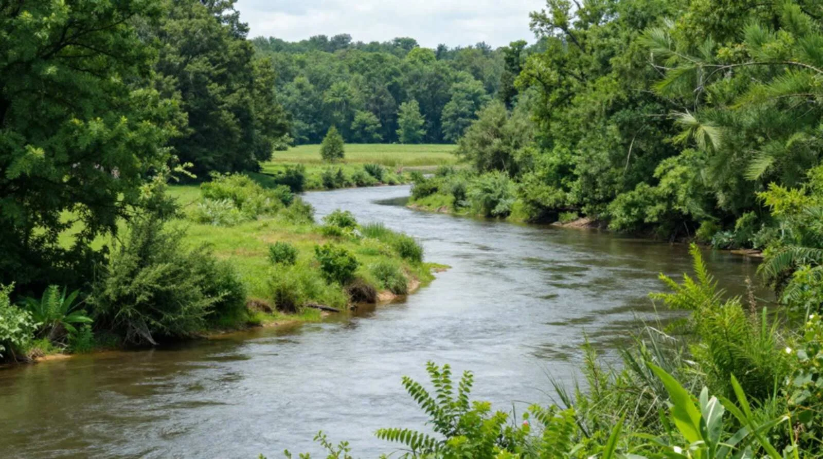 River winding through lush green bottomland and trees in rural Rockingham County NC