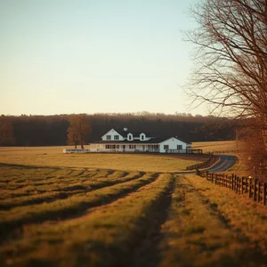 Country Living Near Kernersville, NC: Areas Buyers Should Know