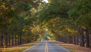Living in Oak Ridge and the Northwest Guilford Area, NC