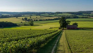 Living in Rockingham County NC: What Buyers Should Know